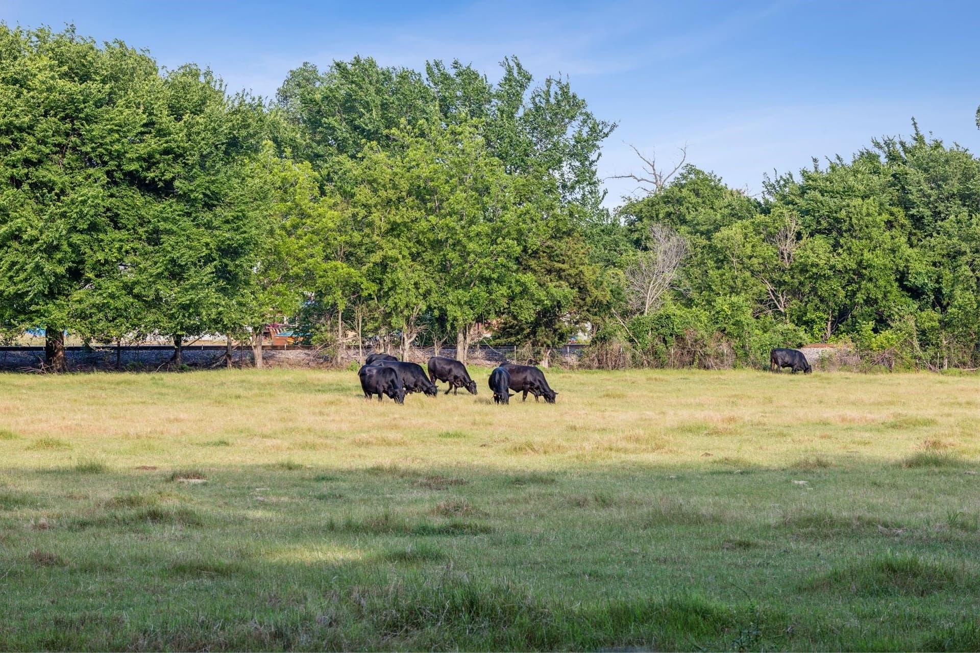 8 acres in Denton County - photo 27