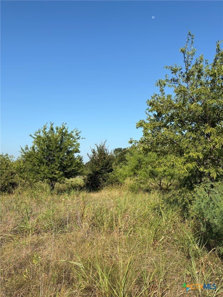 9.44 acres in Bell County - photo 3