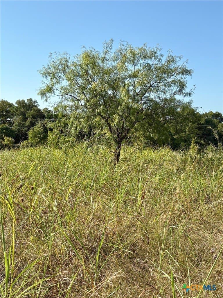 9.44 acres in Bell County - photo 4
