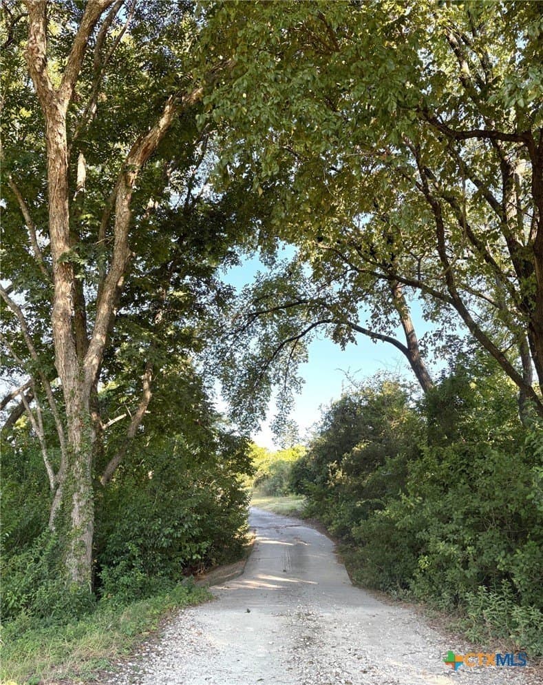 9.44 acres in Bell County - photo 9