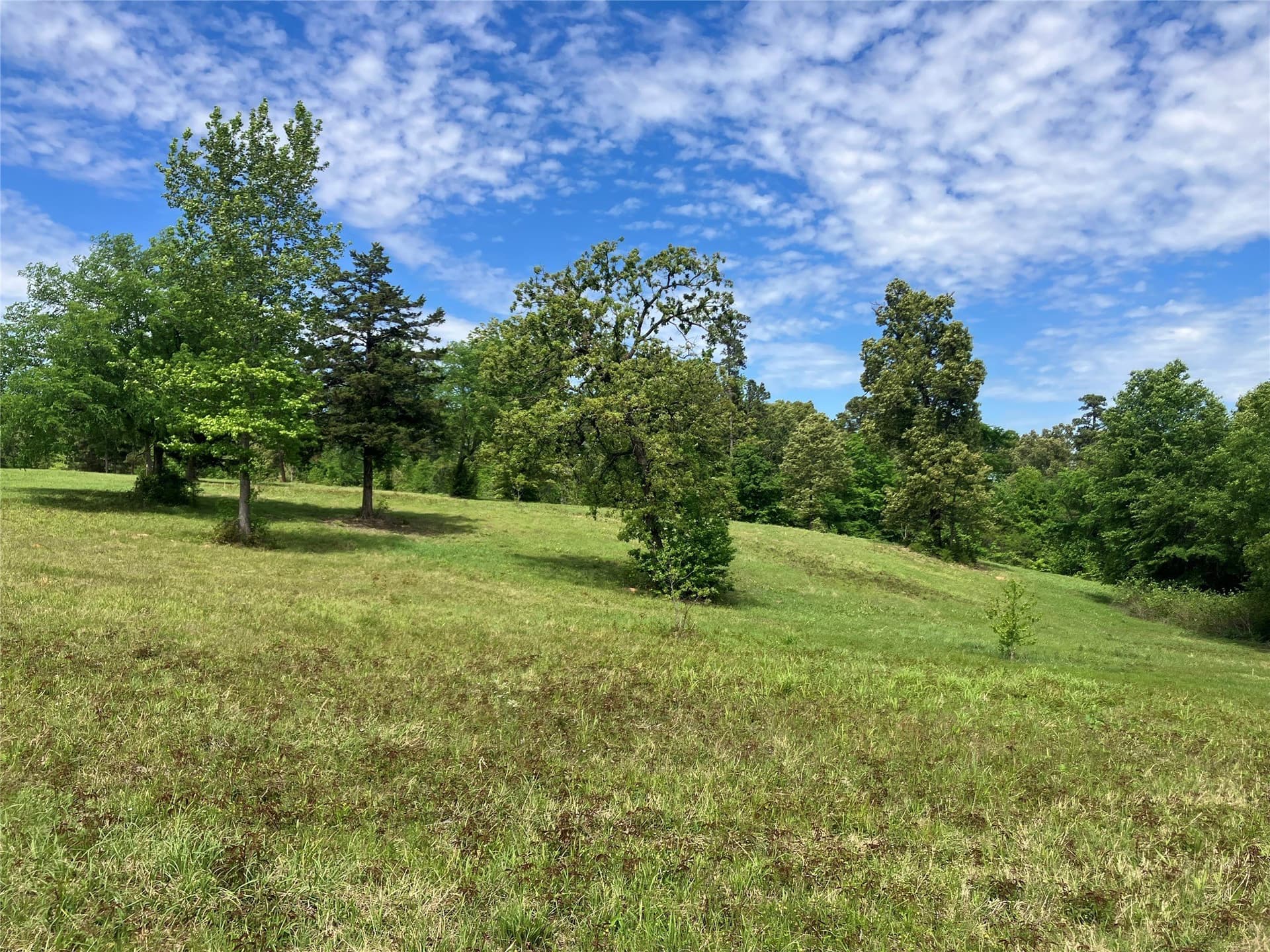 3.19 acres in Smith County - photo 2