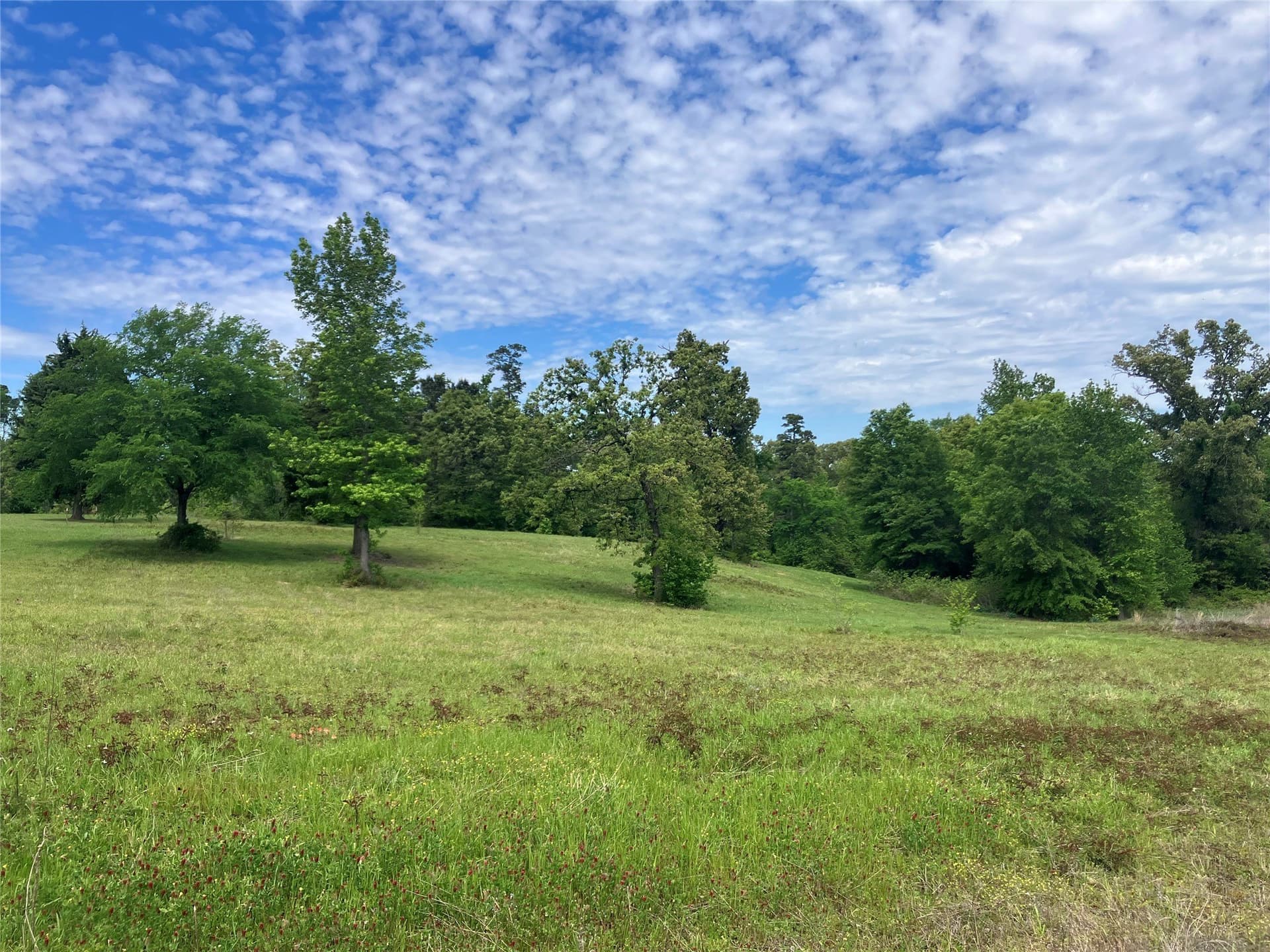 3.19 acres in Smith County - photo 4