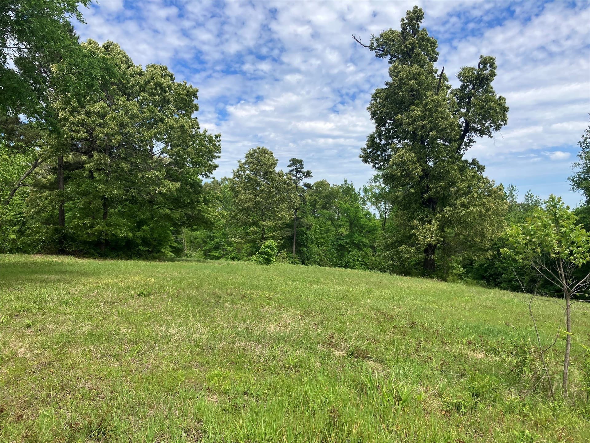 3.19 acres in Smith County