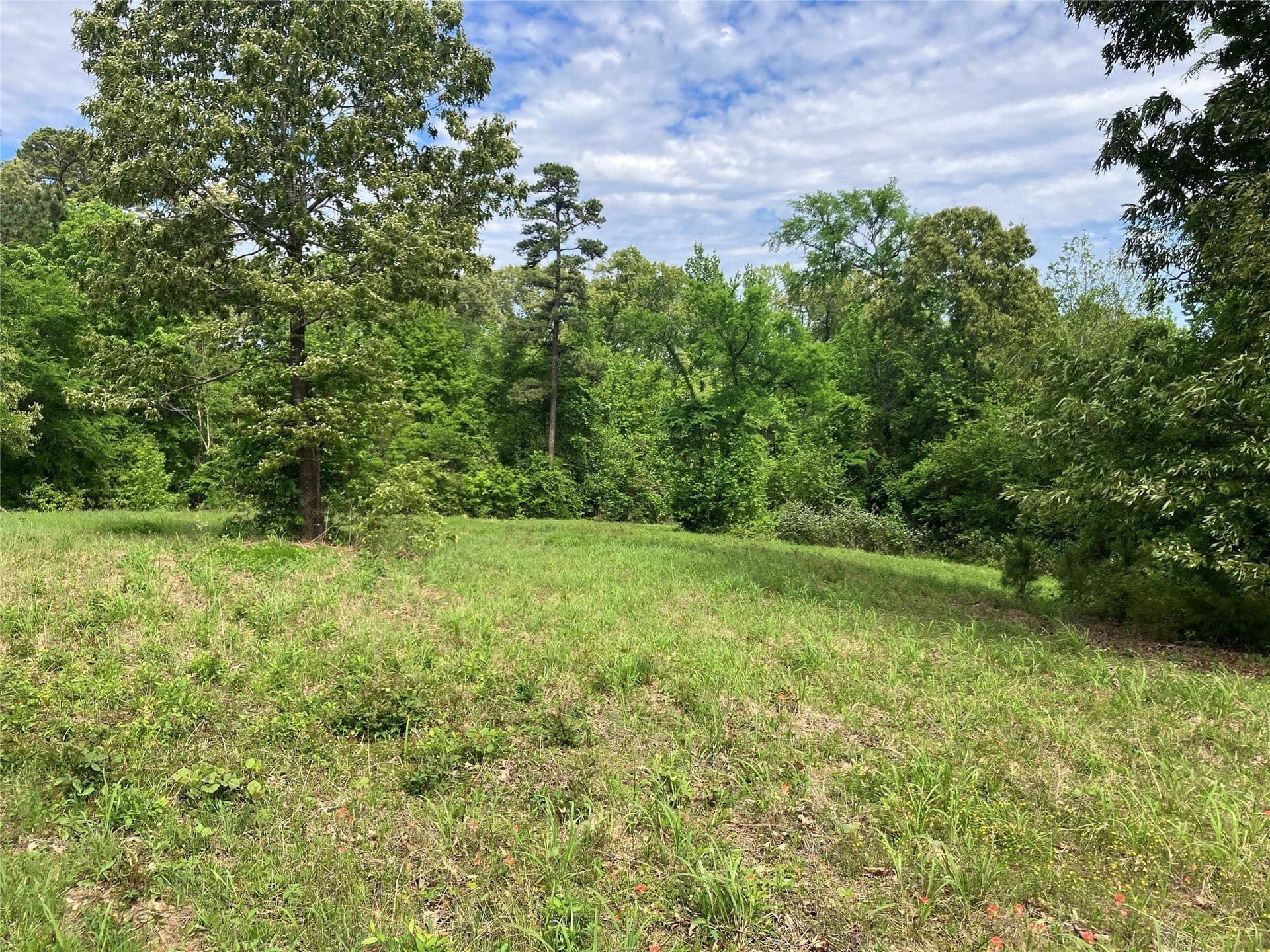 3.19 acres in Smith County - photo 6
