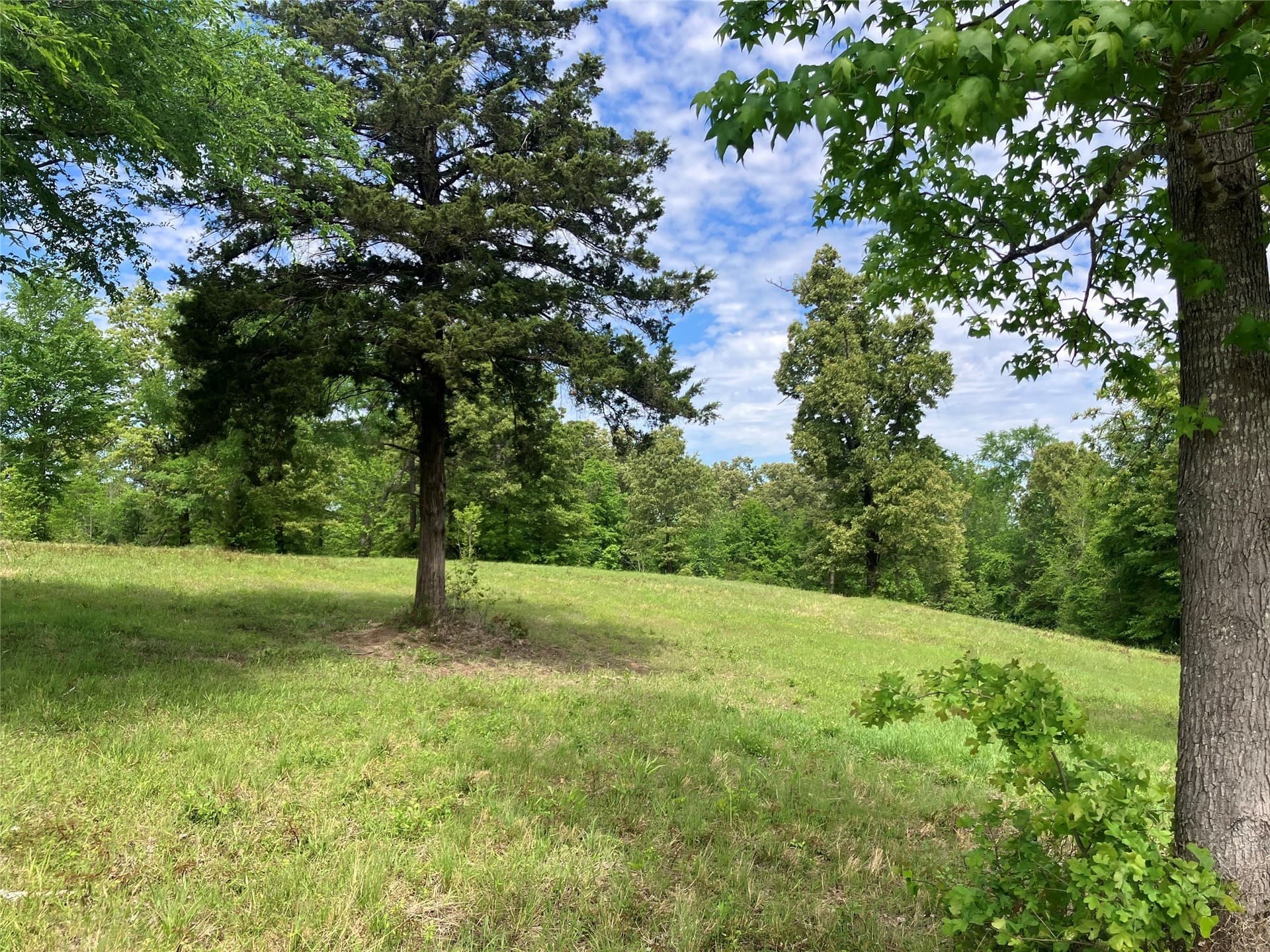 3.19 acres in Smith County - photo 3