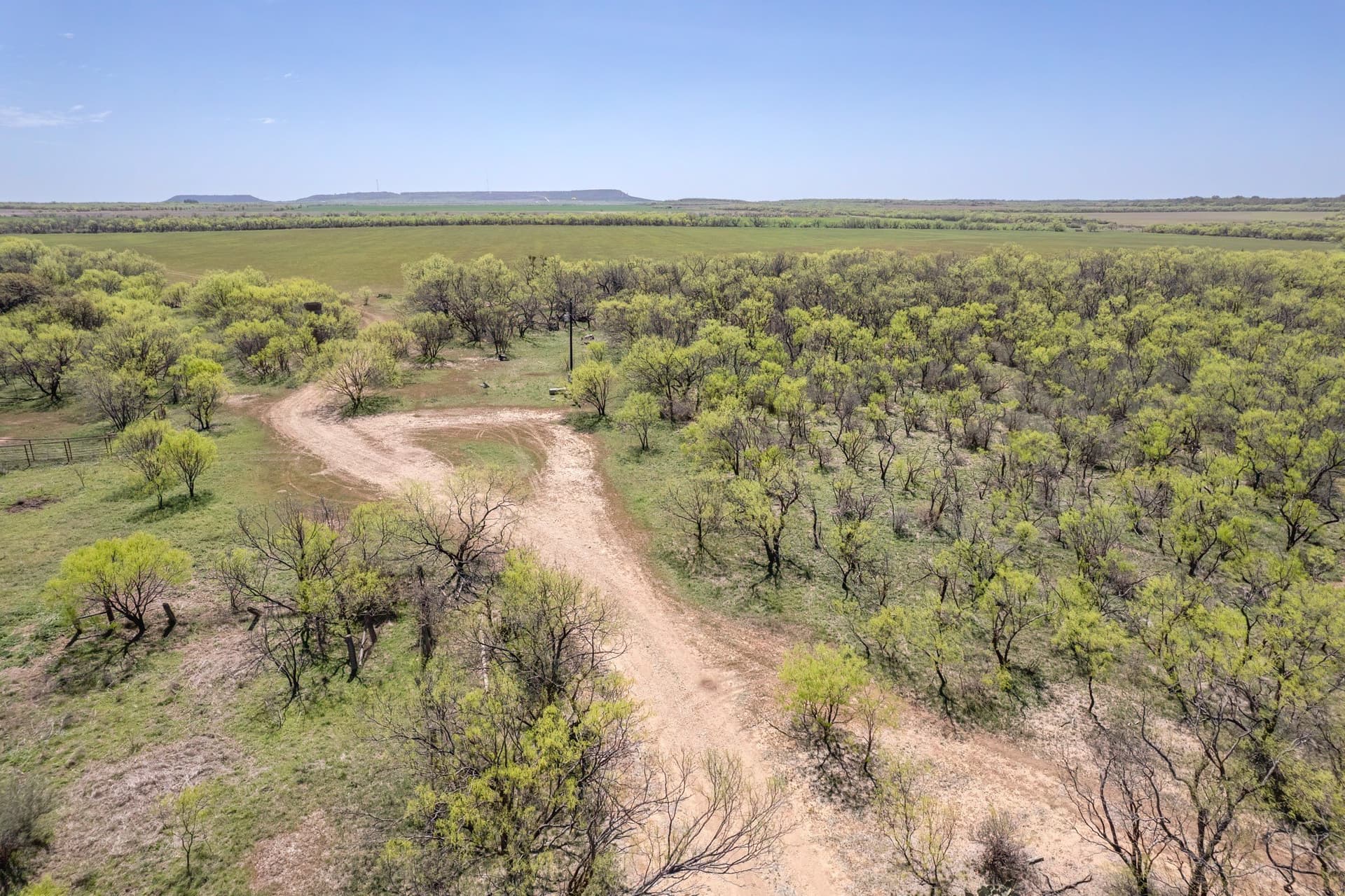 281.7 acres in Coleman County - photo 25