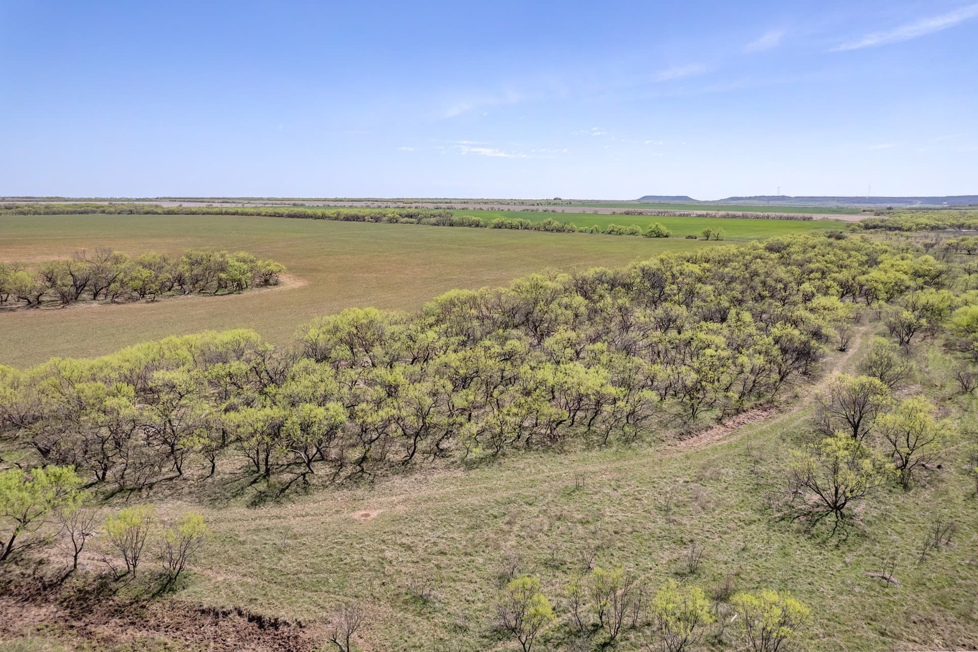 281.7 acres in Coleman County - photo 21