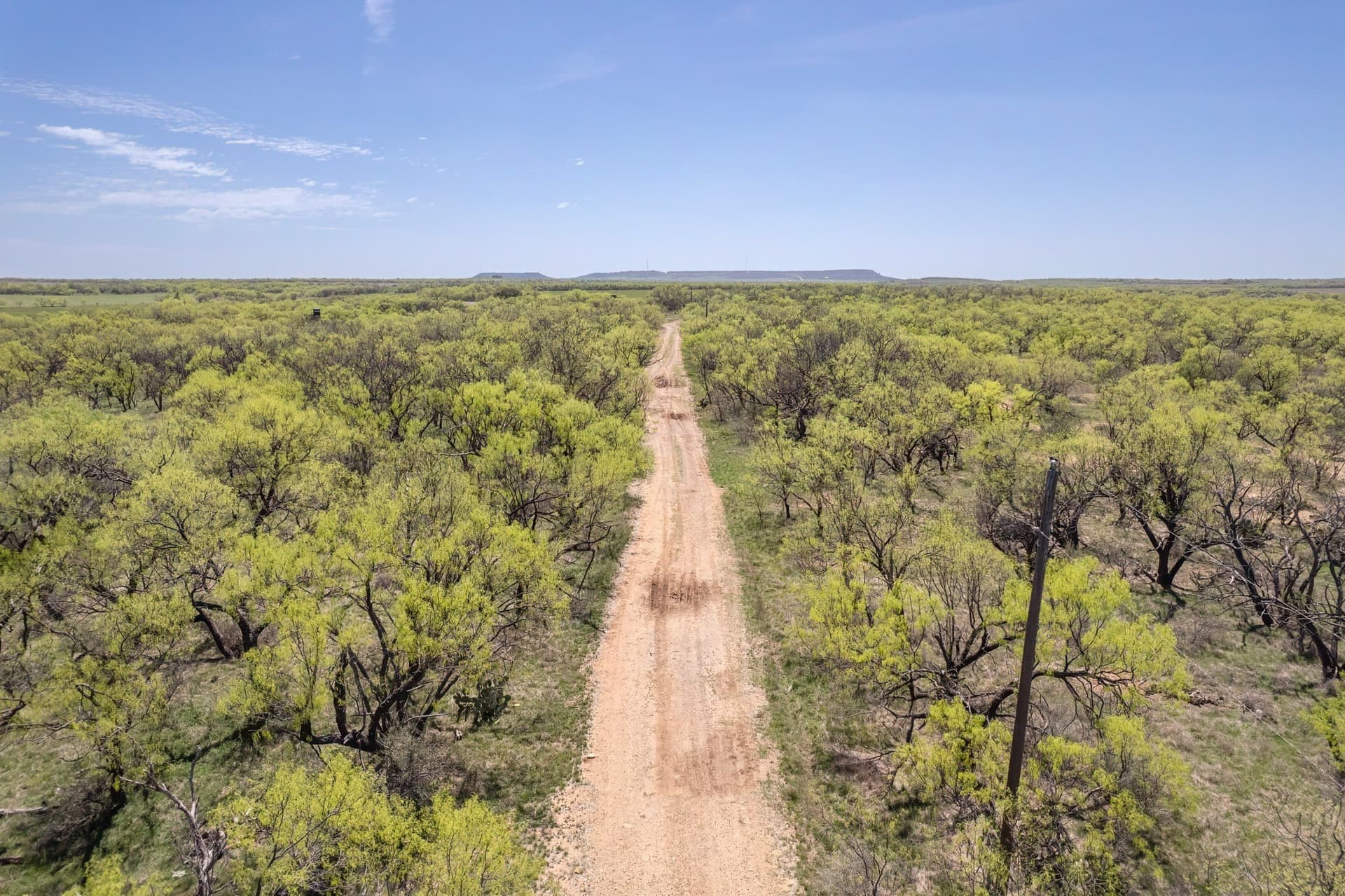 281.7 acres in Coleman County - photo 29