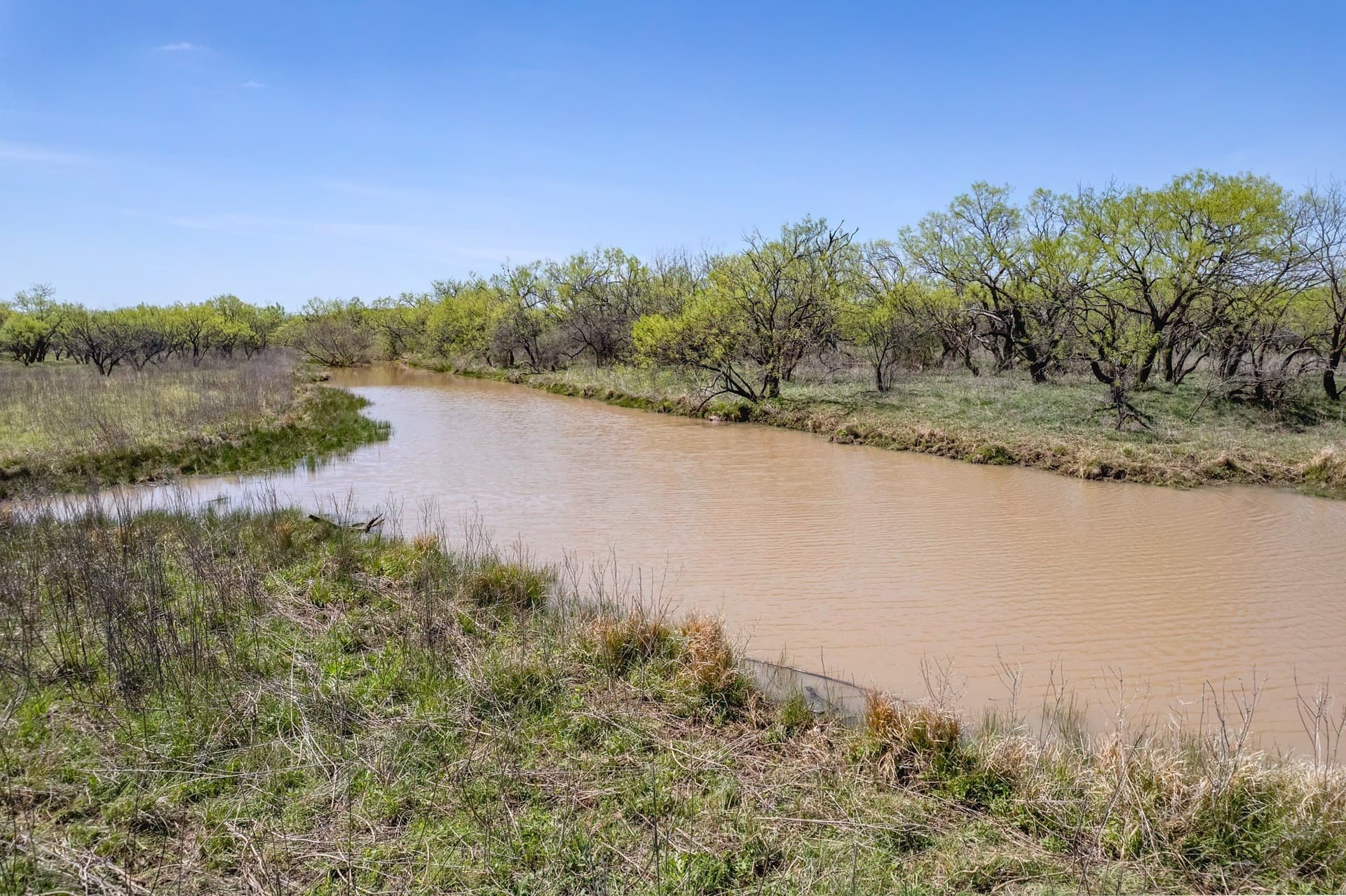 281.7 acres in Coleman County - photo 8