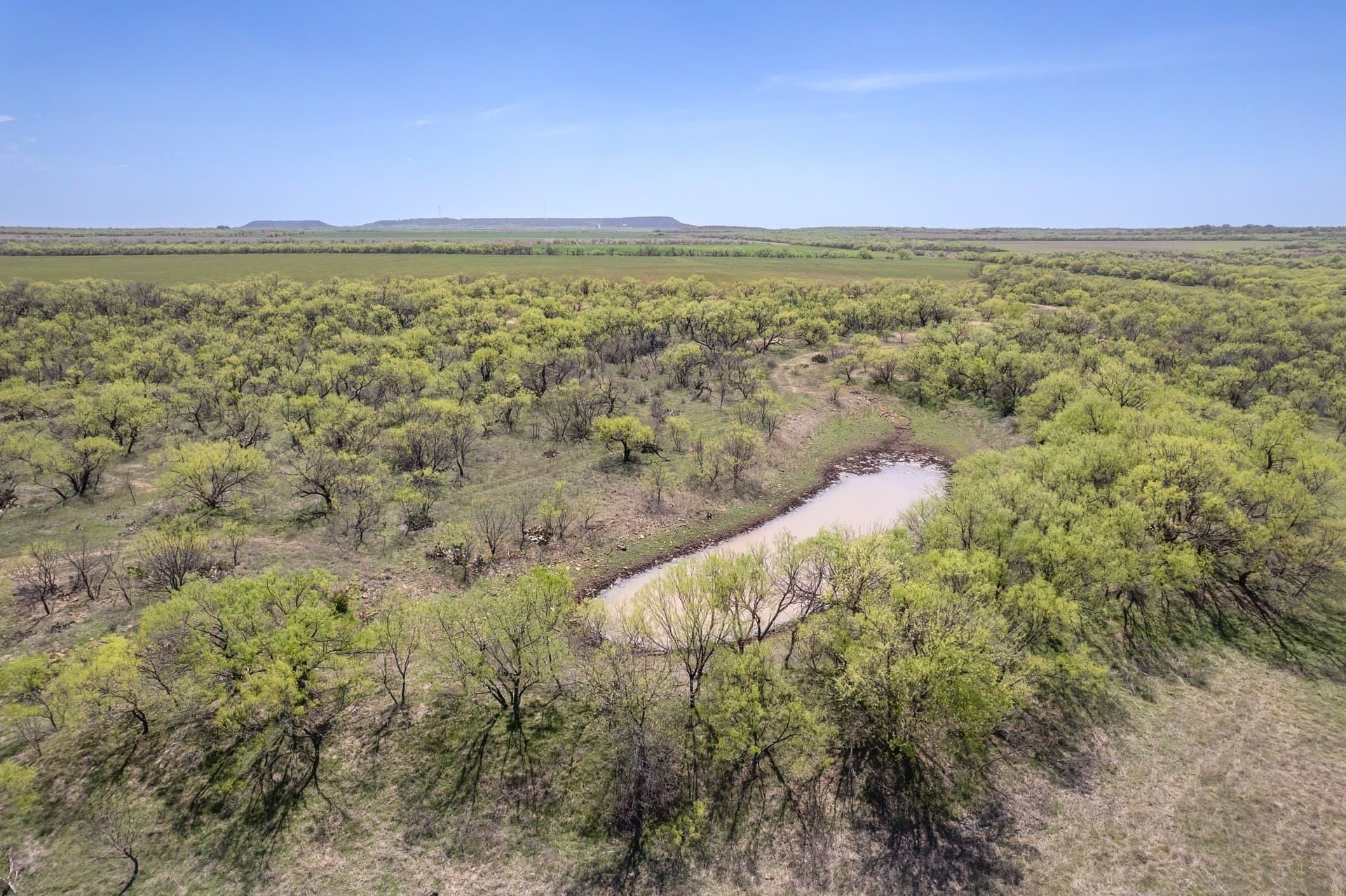 281.7 acres in Coleman County - photo 15