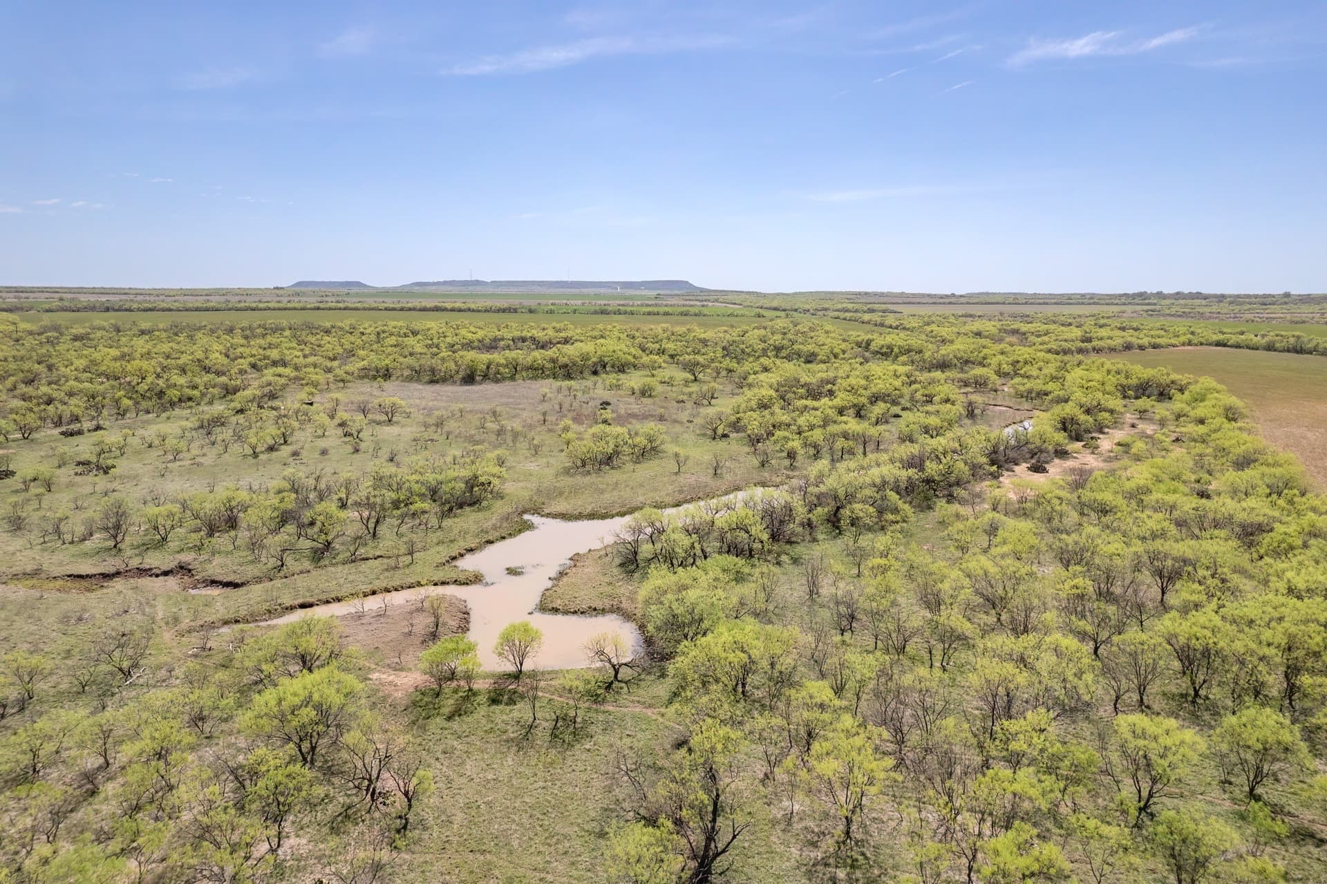 281.7 acres in Coleman County - photo 13
