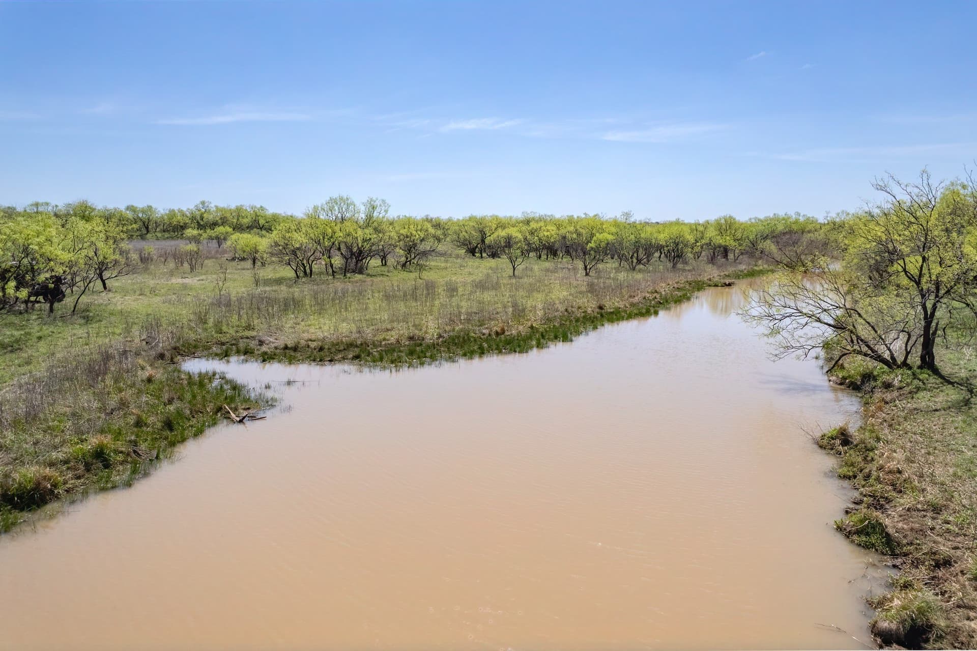 281.7 acres in Coleman County - photo 9