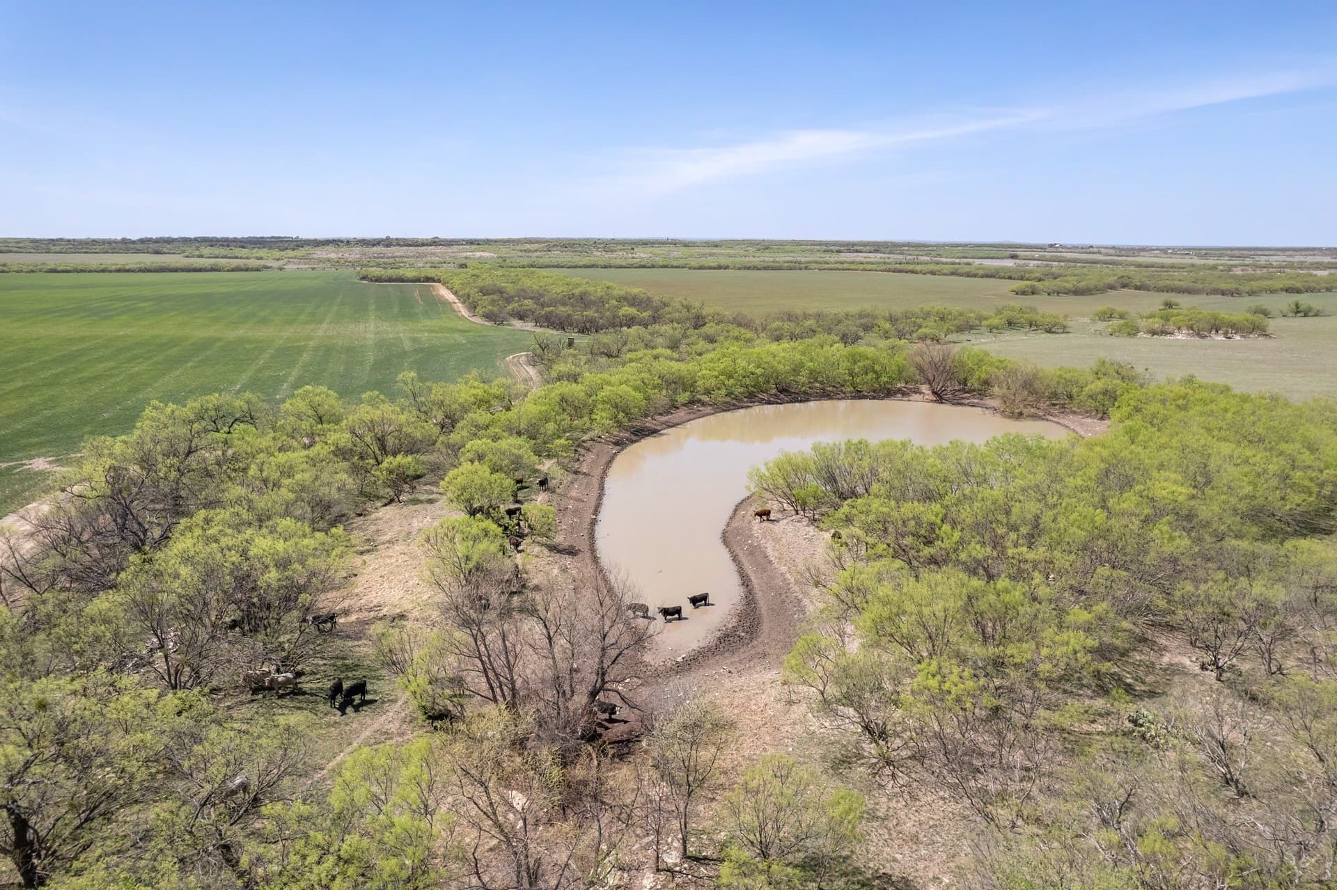 281.7 acres in Coleman County - photo 14