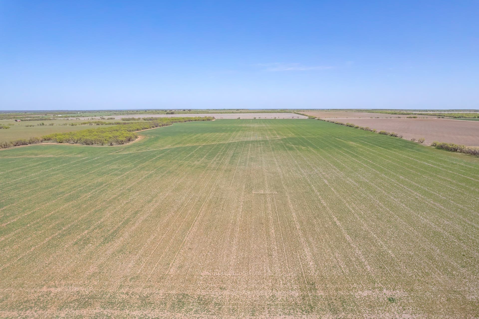 281.7 acres in Coleman County - photo 17