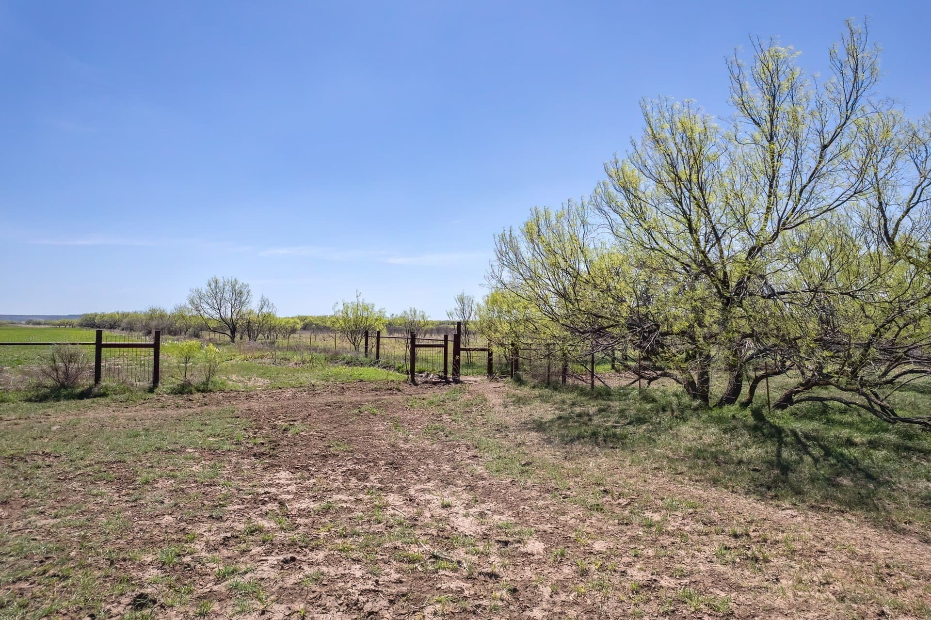 281.7 acres in Coleman County - photo 32