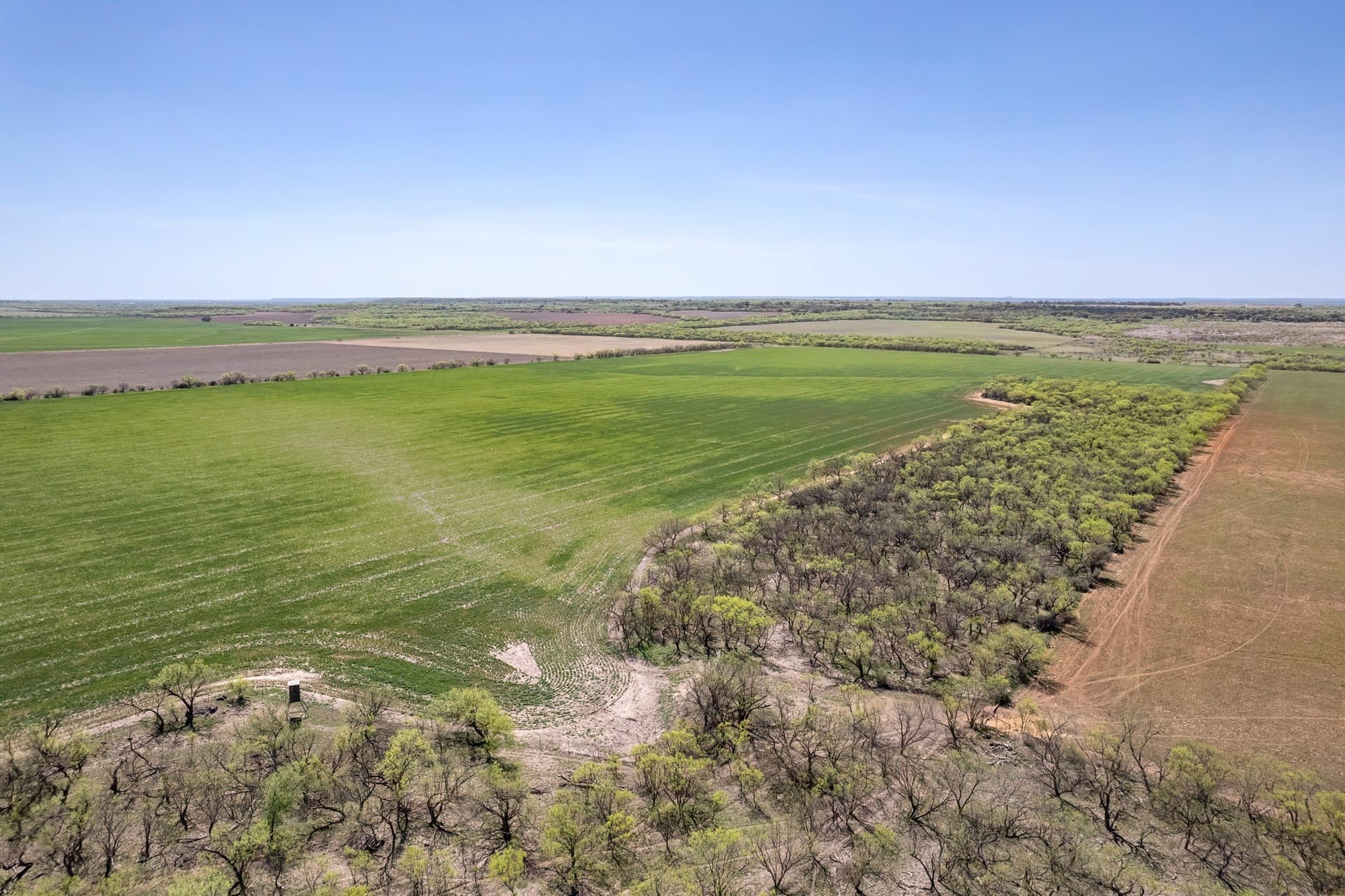 281.7 acres in Coleman County - photo 16