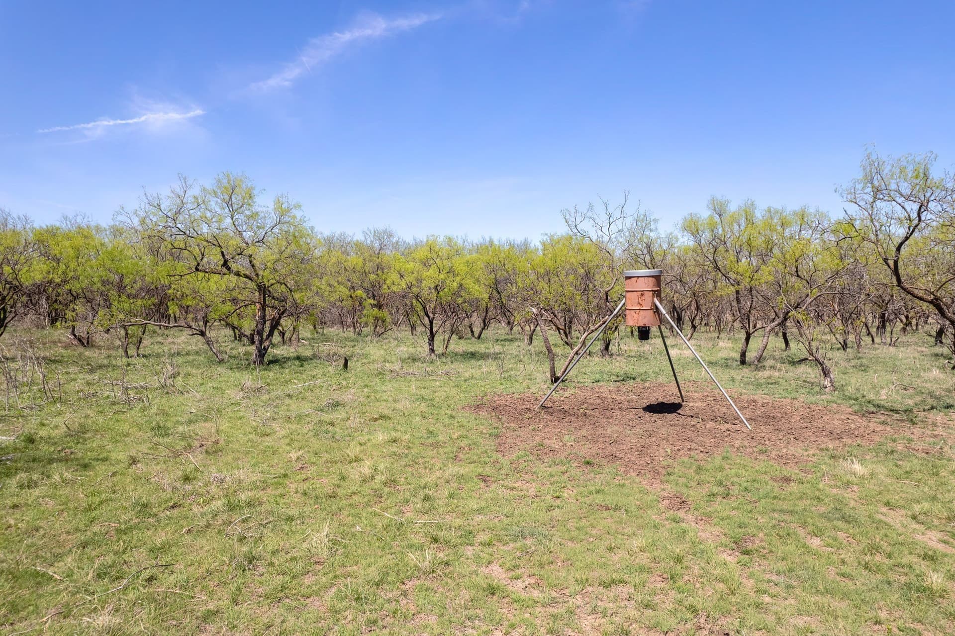 281.7 acres in Coleman County - photo 27
