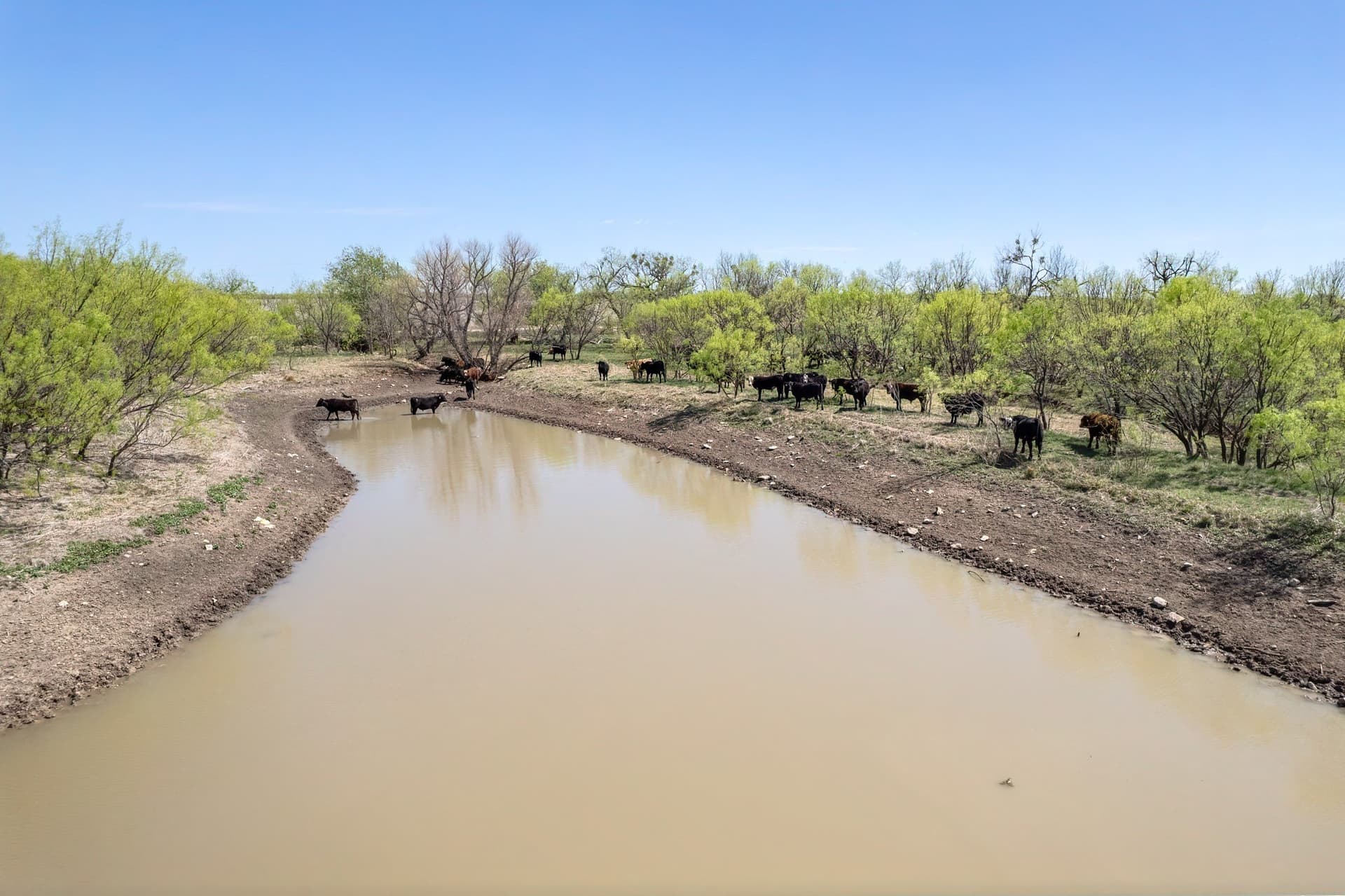 281.7 acres in Coleman County - photo 10