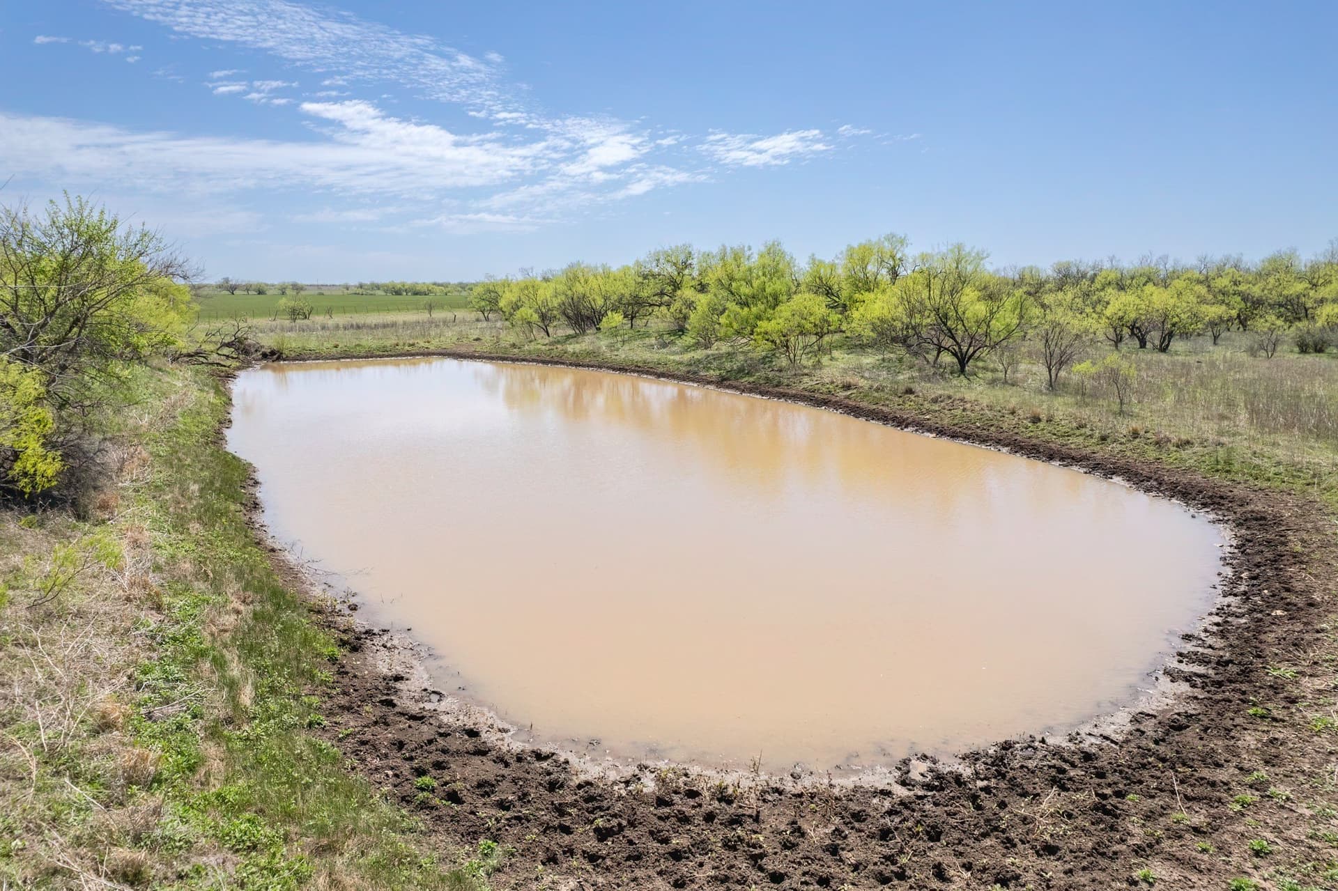 281.7 acres in Coleman County - photo 11