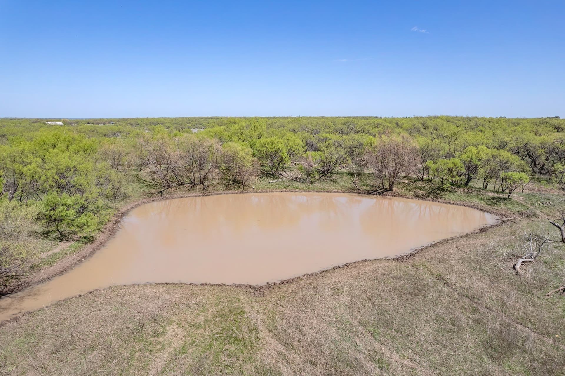 281.7 acres in Coleman County - photo 7