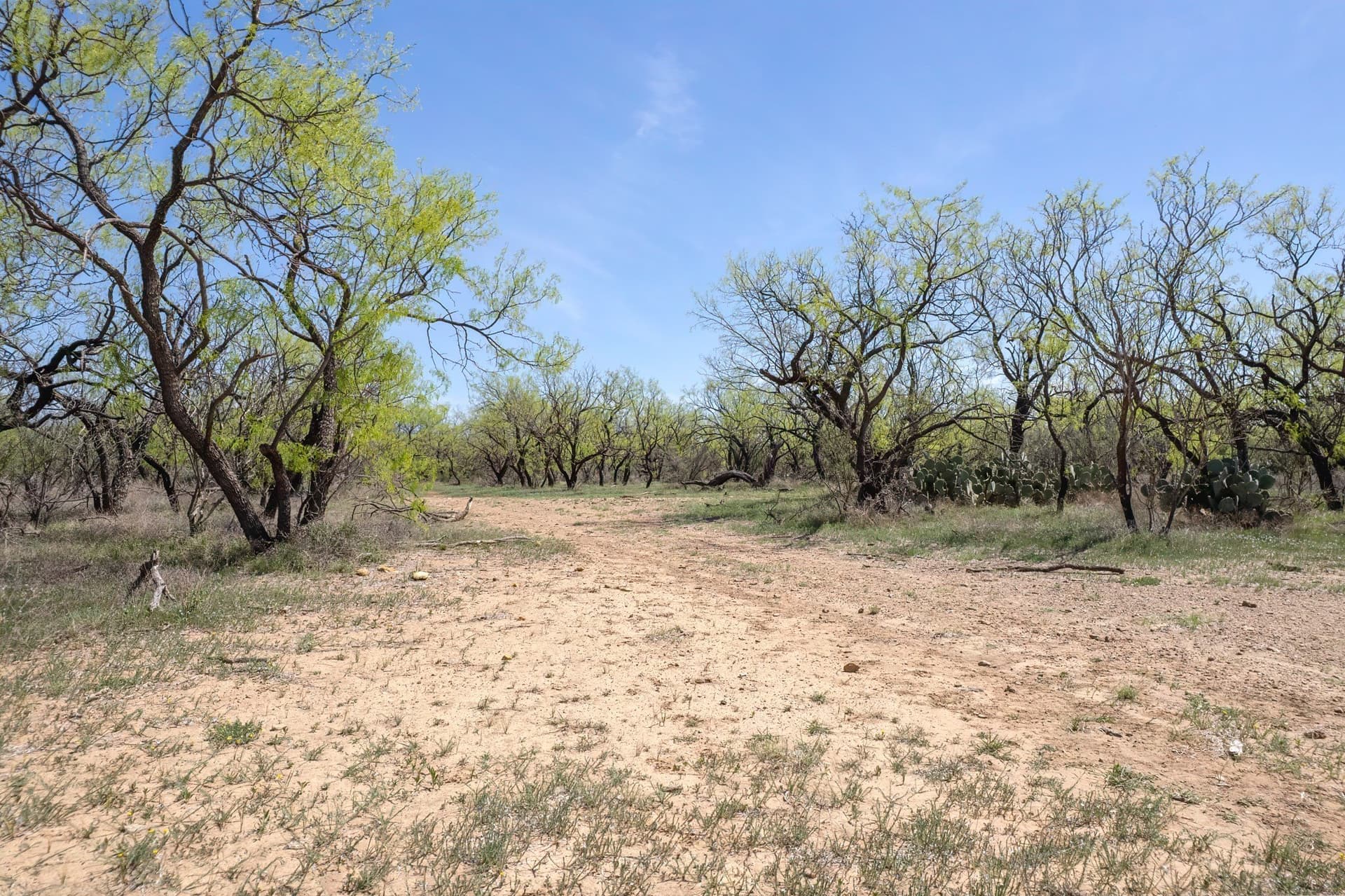 281.7 acres in Coleman County - photo 26