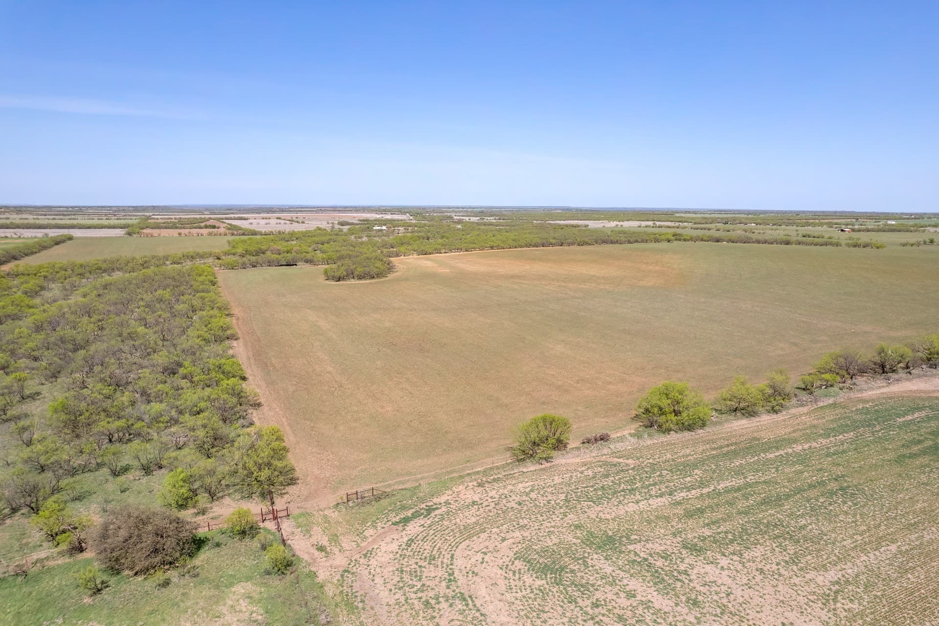 281.7 acres in Coleman County - photo 20