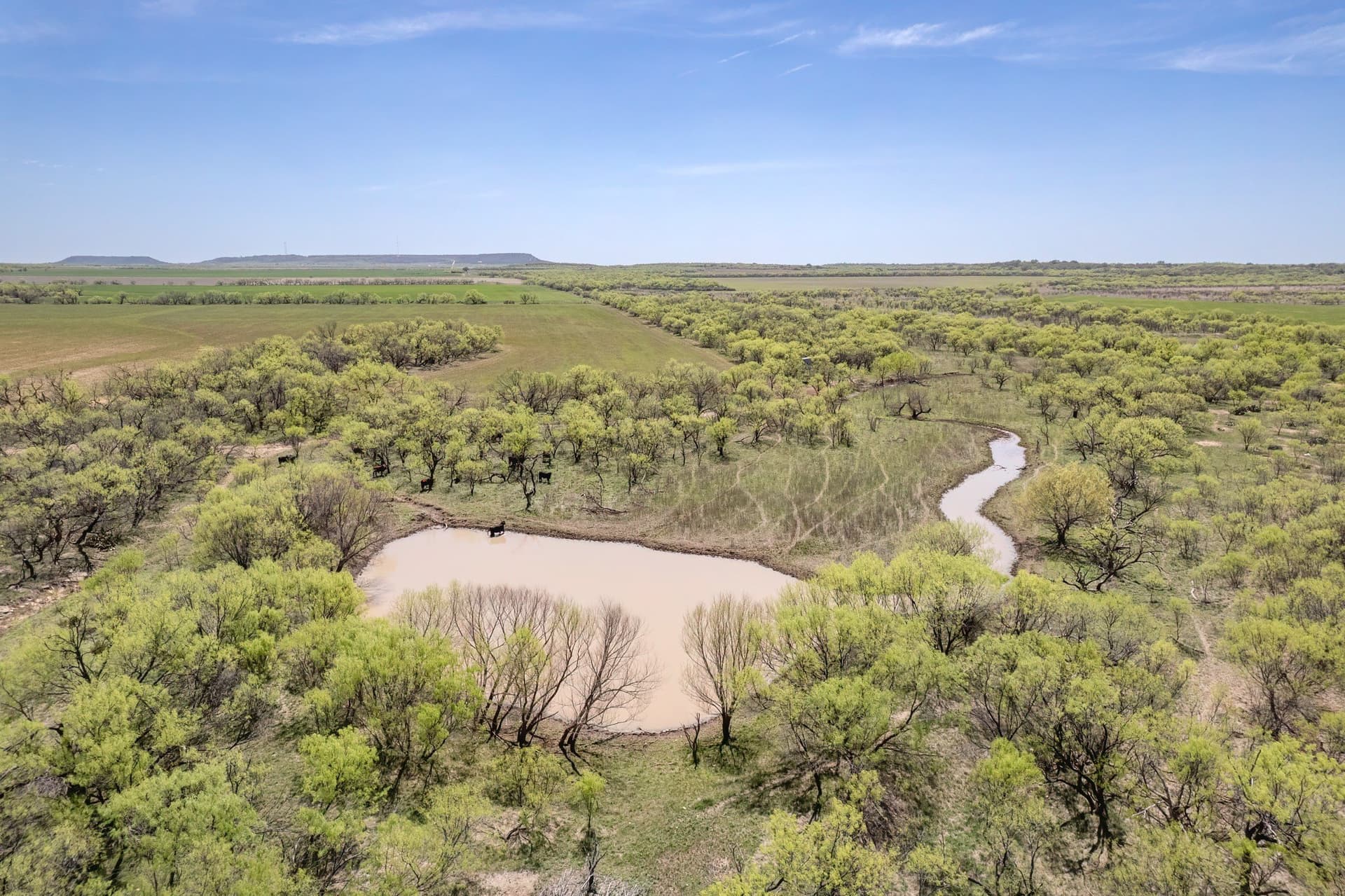 281.7 acres in Coleman County - photo 12