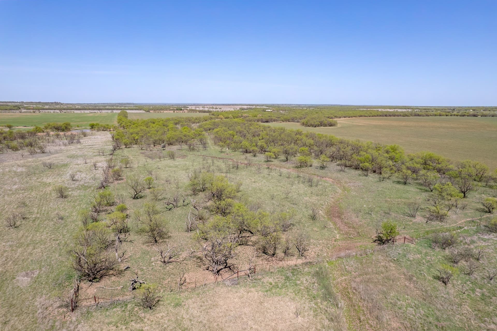 281.7 acres in Coleman County - photo 24