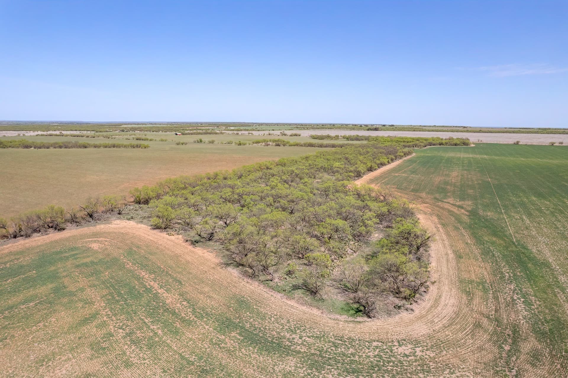 281.7 acres in Coleman County - photo 19