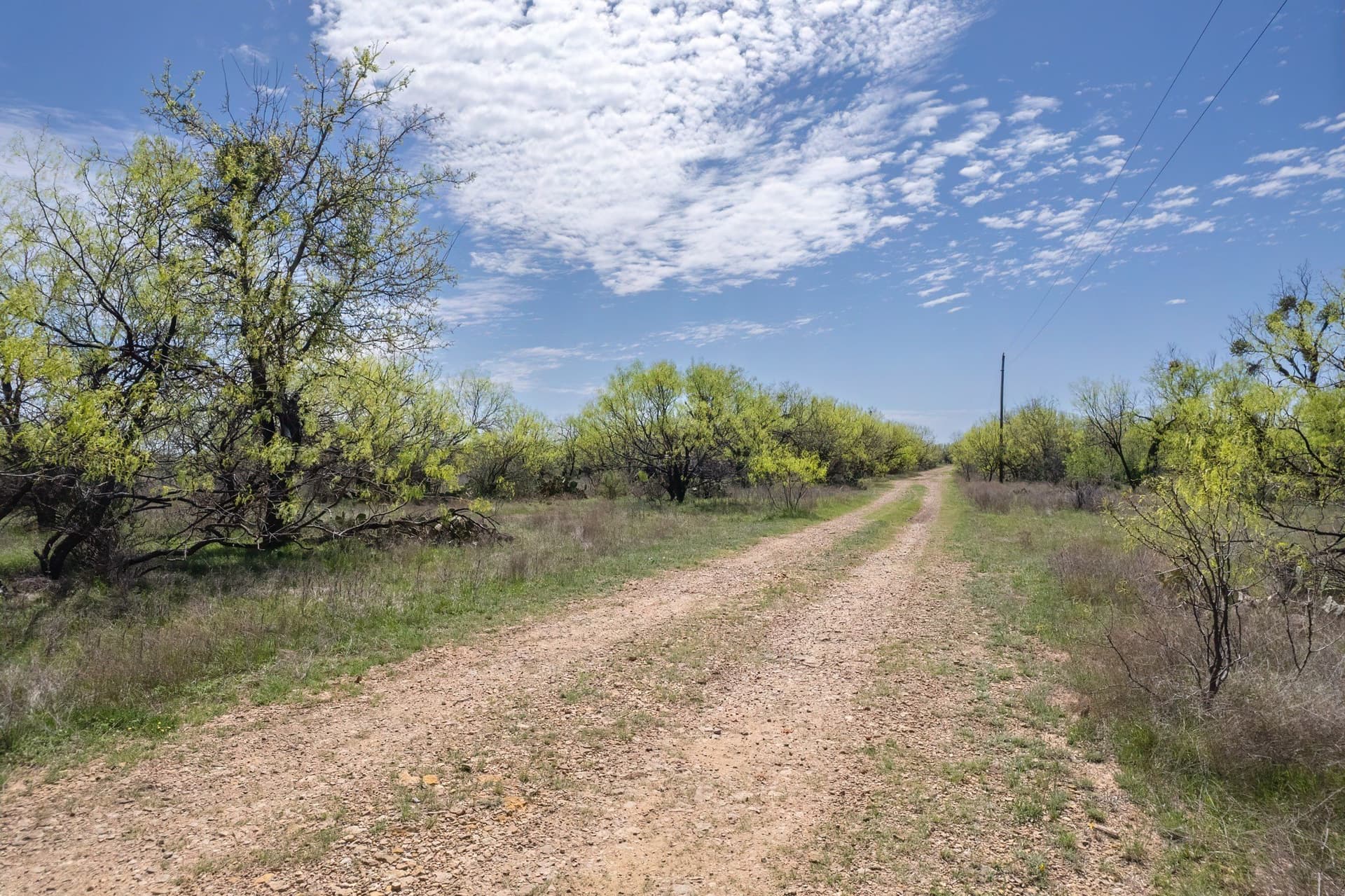 281.7 acres in Coleman County - photo 30
