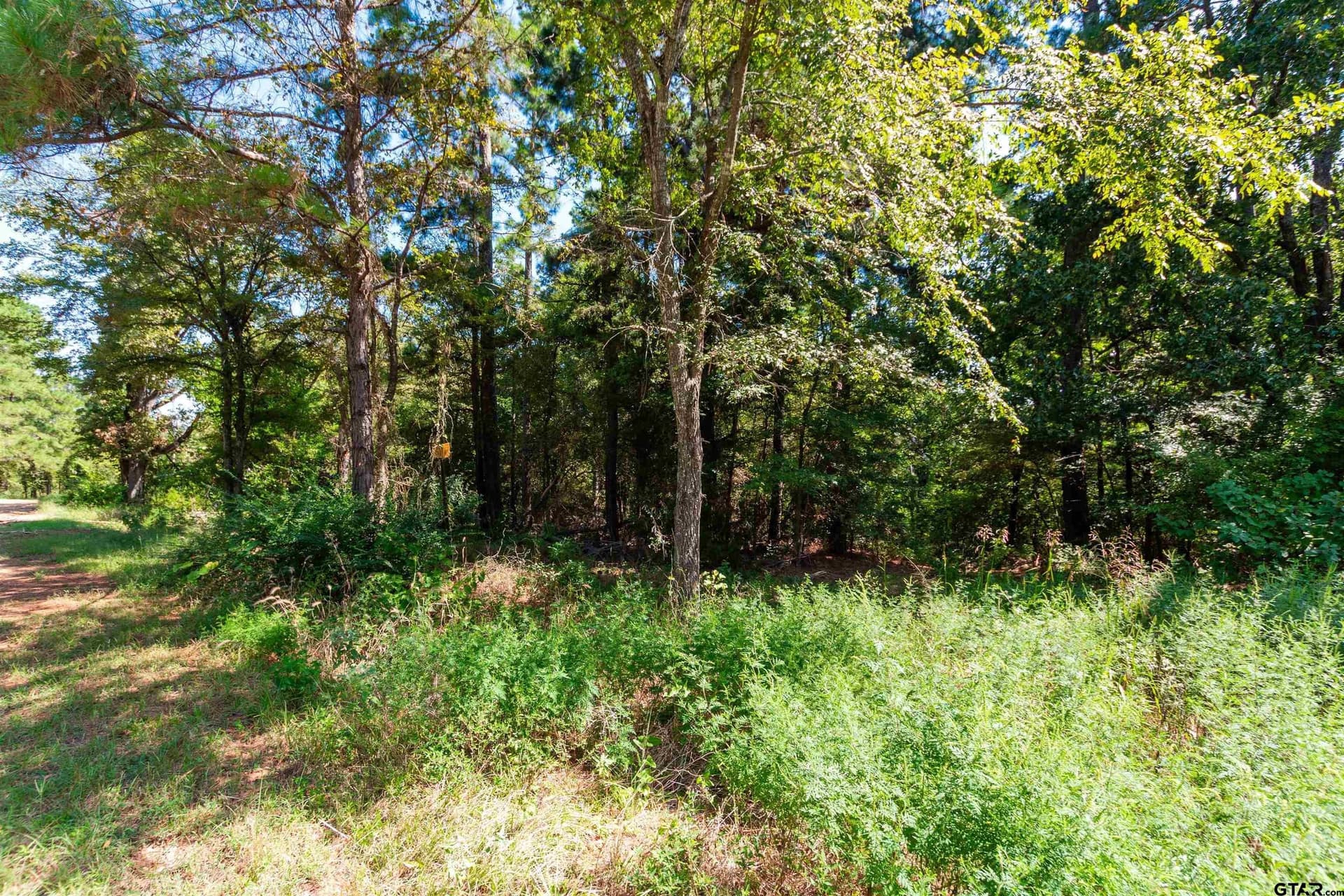 4.06 acres in Smith County - photo 2