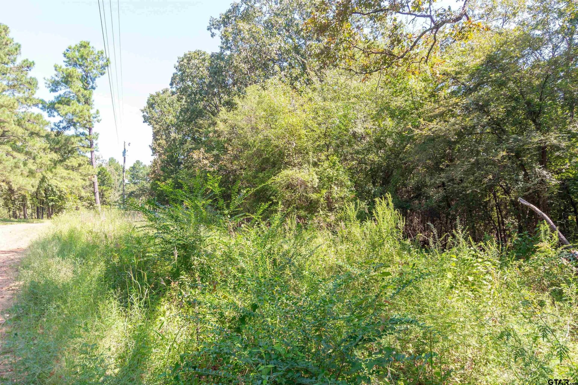 4.06 acres in Smith County - photo 4