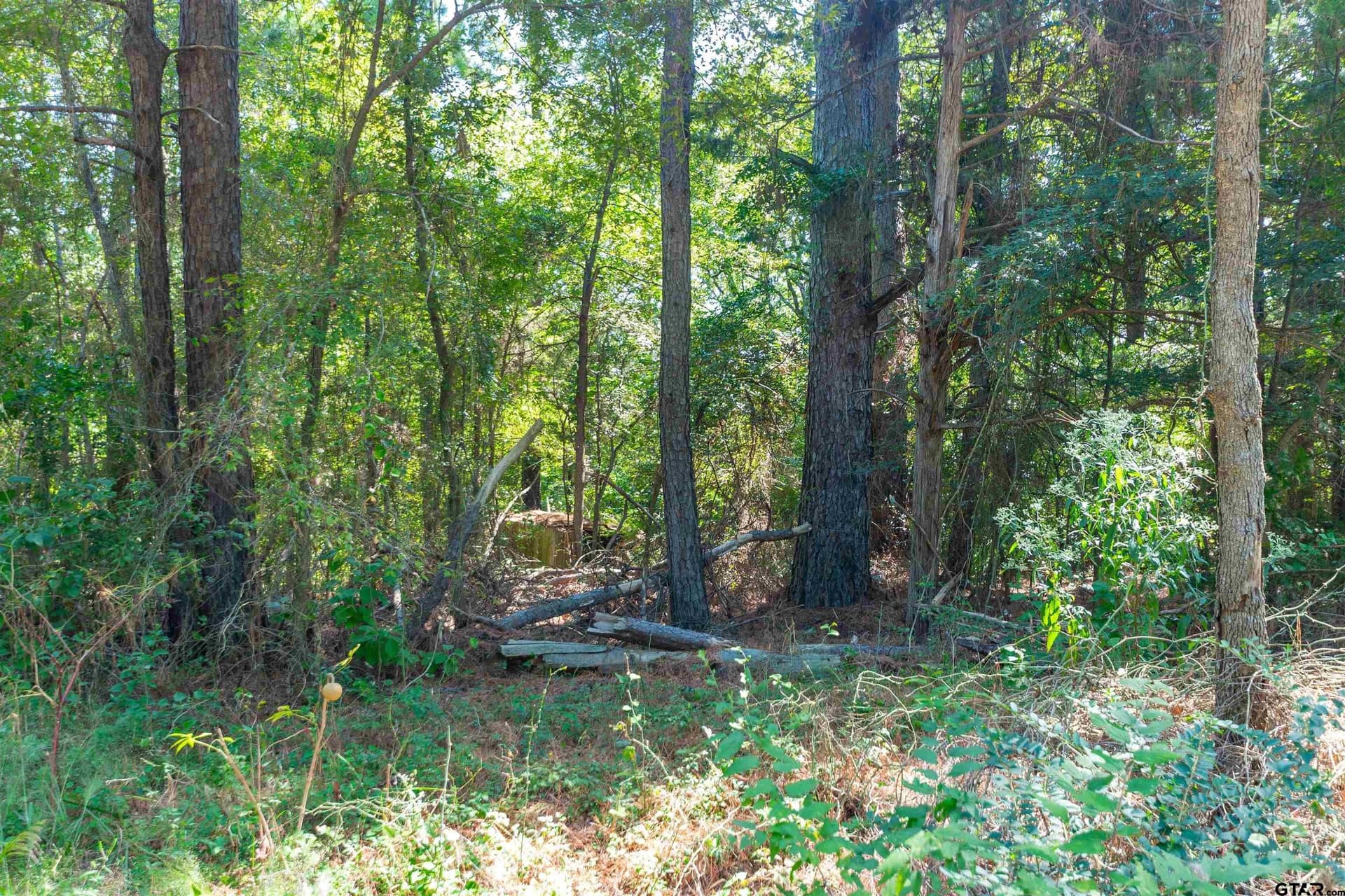 4.06 acres in Smith County - photo 3