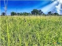 11.61 acres in Caldwell County gallery image 4