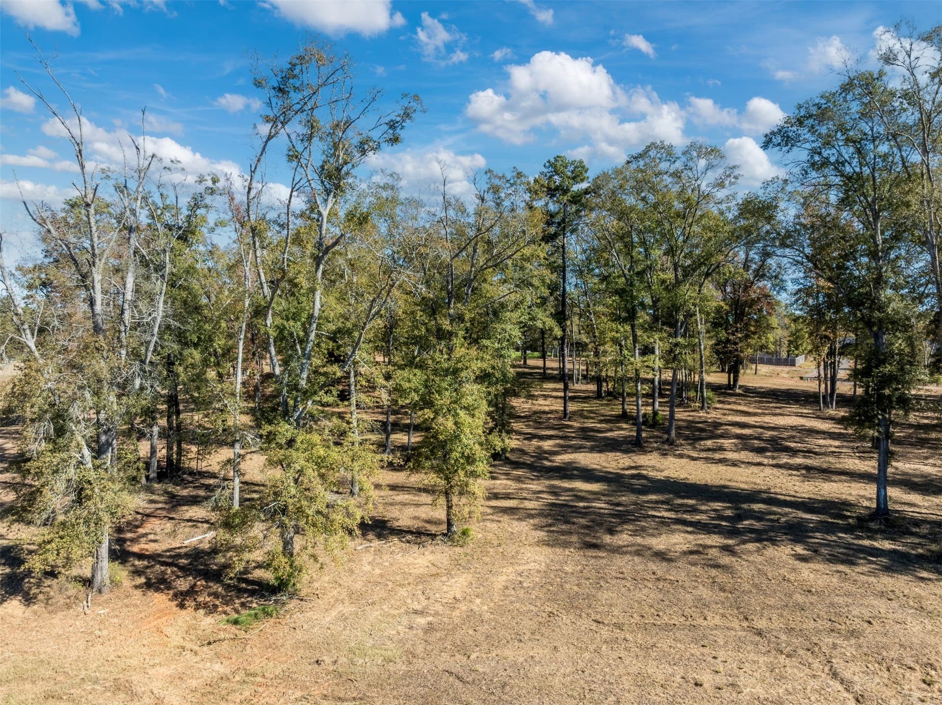 0.87 acres in Smith County gallery image 4