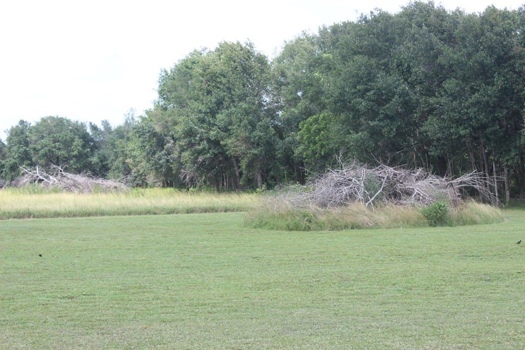 1 acres in Palacios Area County gallery image 3