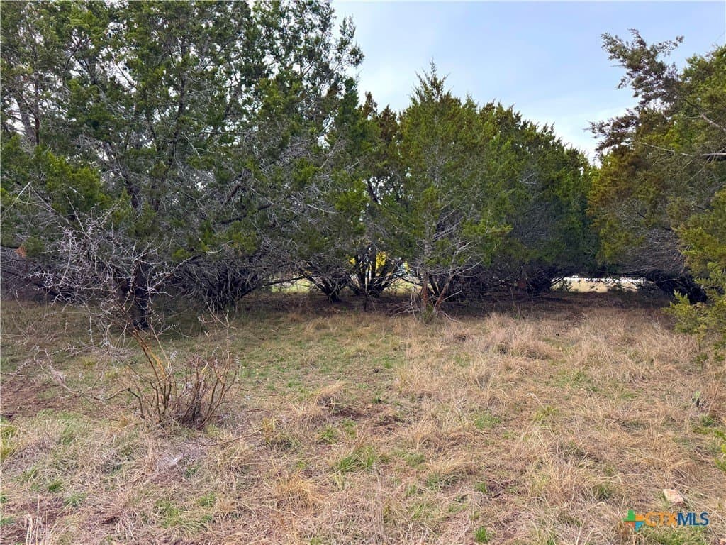 0.19 acres in Comal County gallery image 2