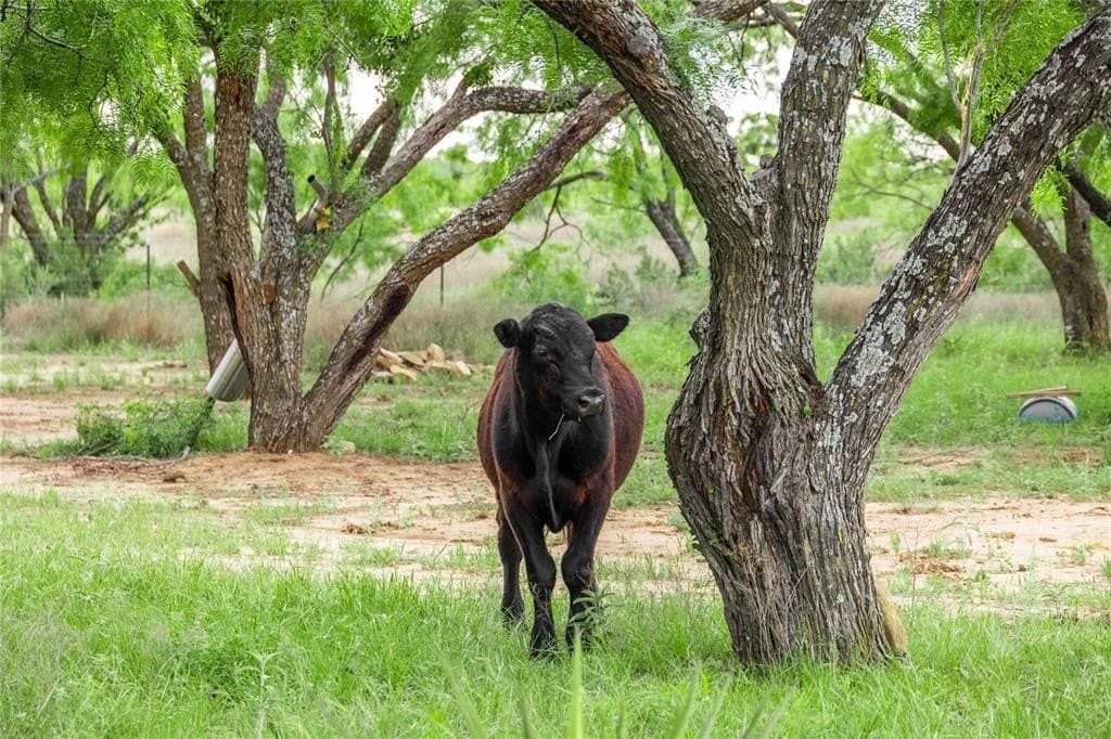 36.82 acres in Brown County