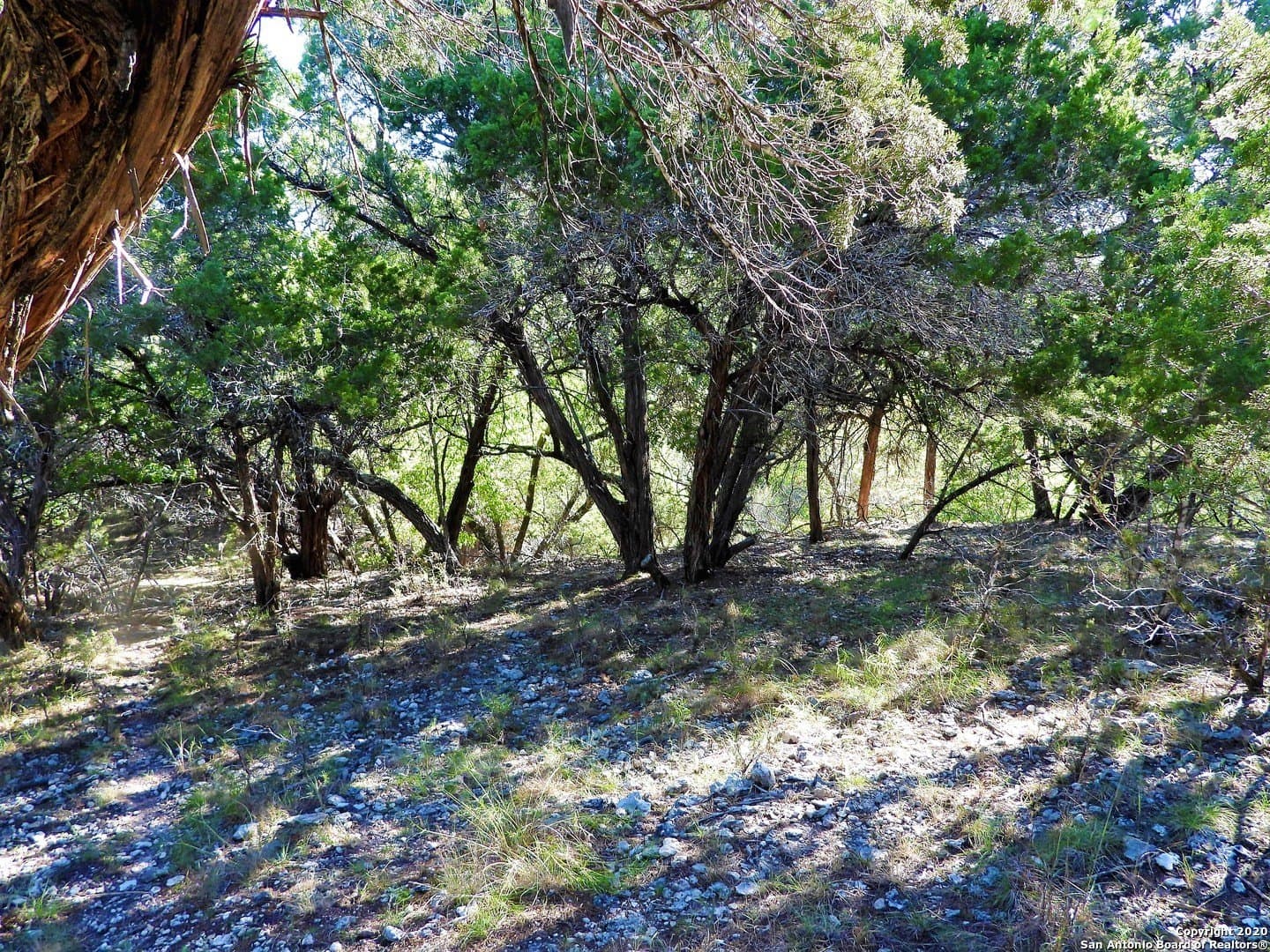 2.24 acres in Bandera County gallery image 4
