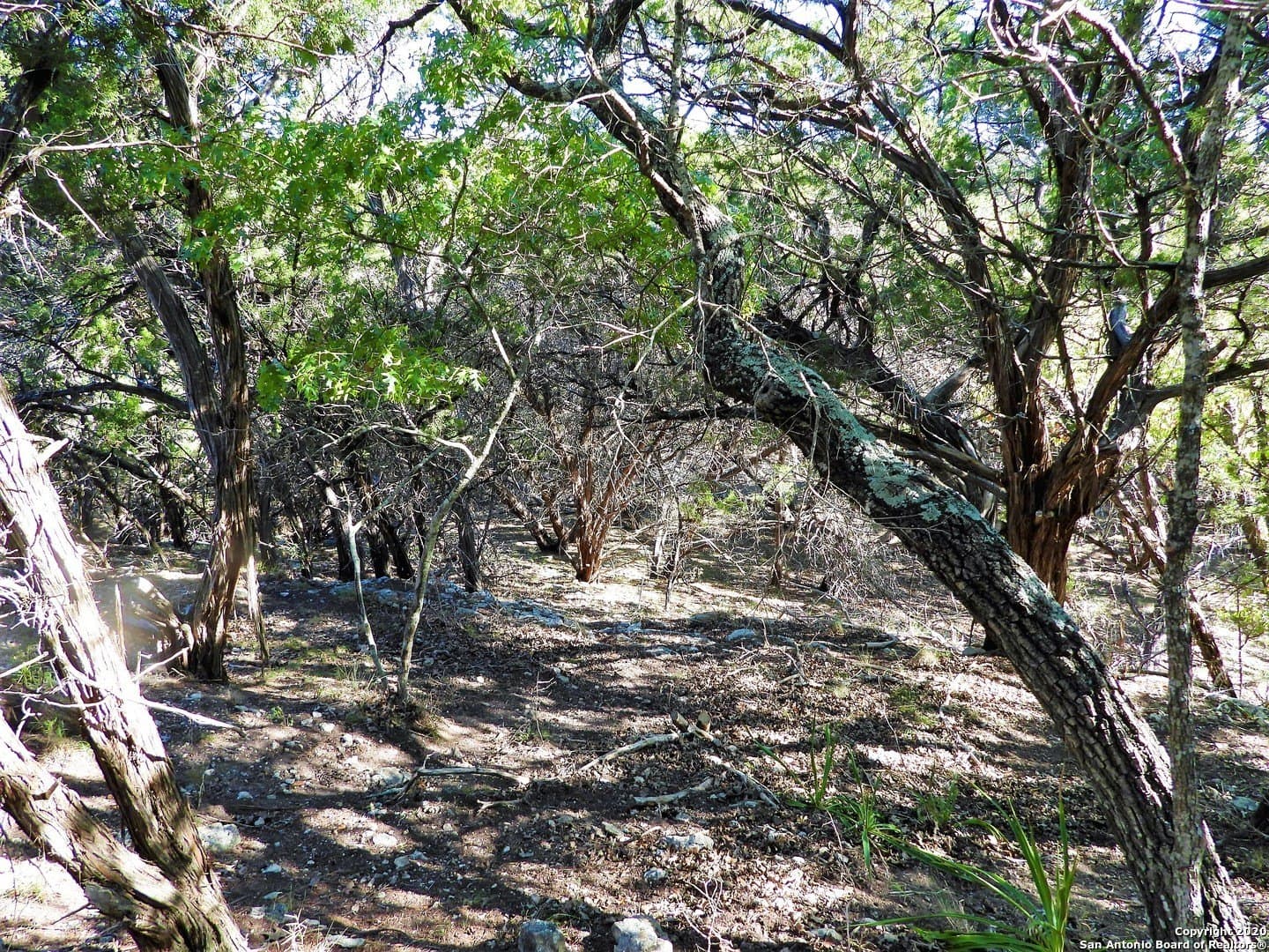 2.24 acres in Bandera County featured view