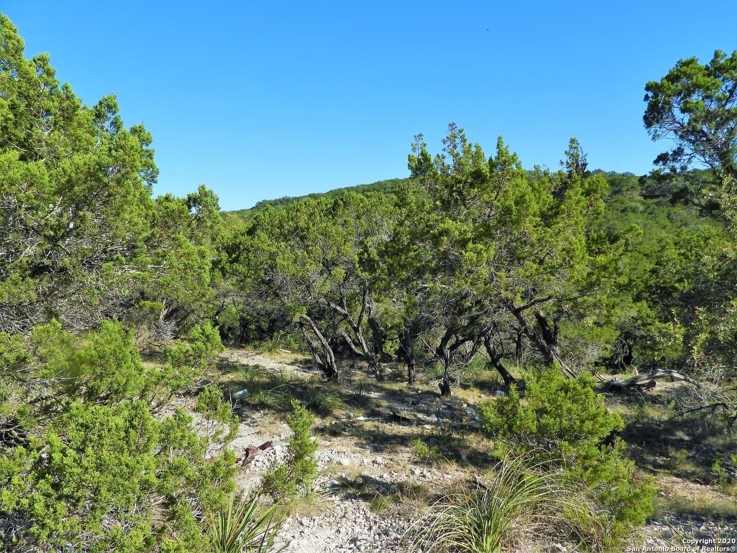 2.24 acres in Bandera County - photo 19