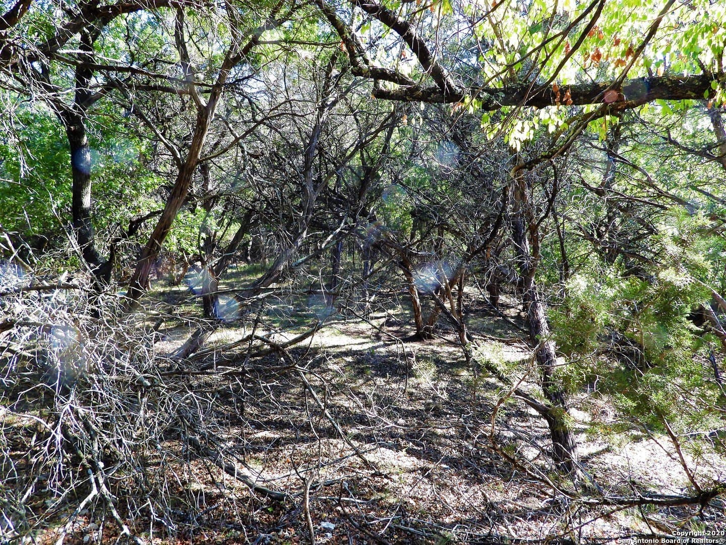 2.24 acres in Bandera County - photo 8