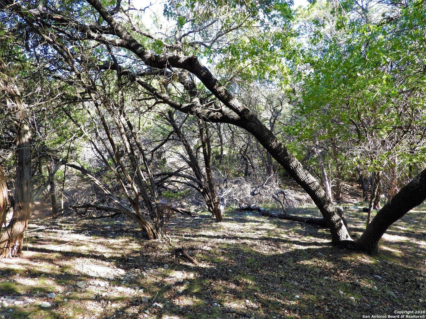 2.24 acres in Bandera County - photo 9