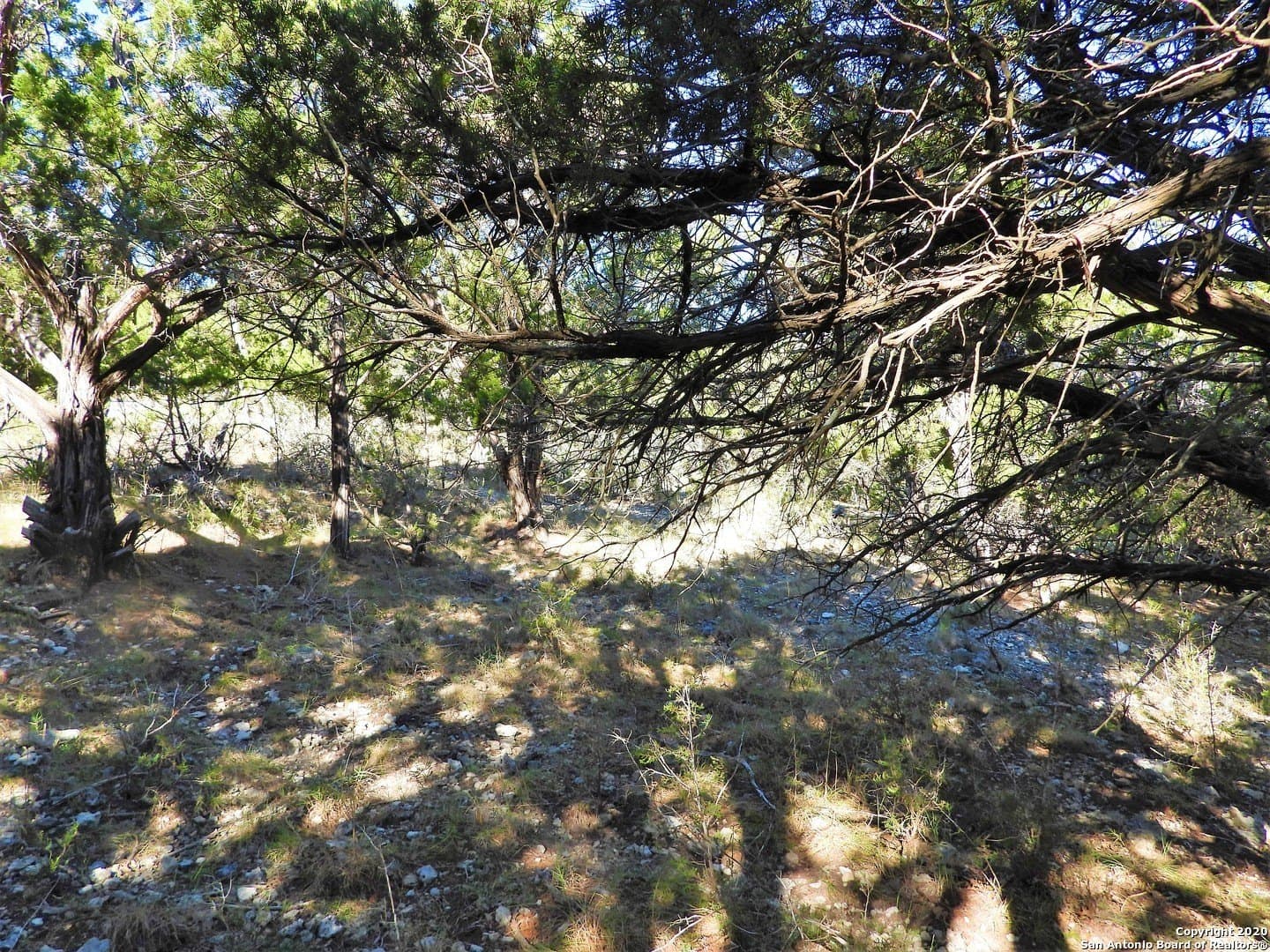 2.24 acres in Bandera County - photo 7