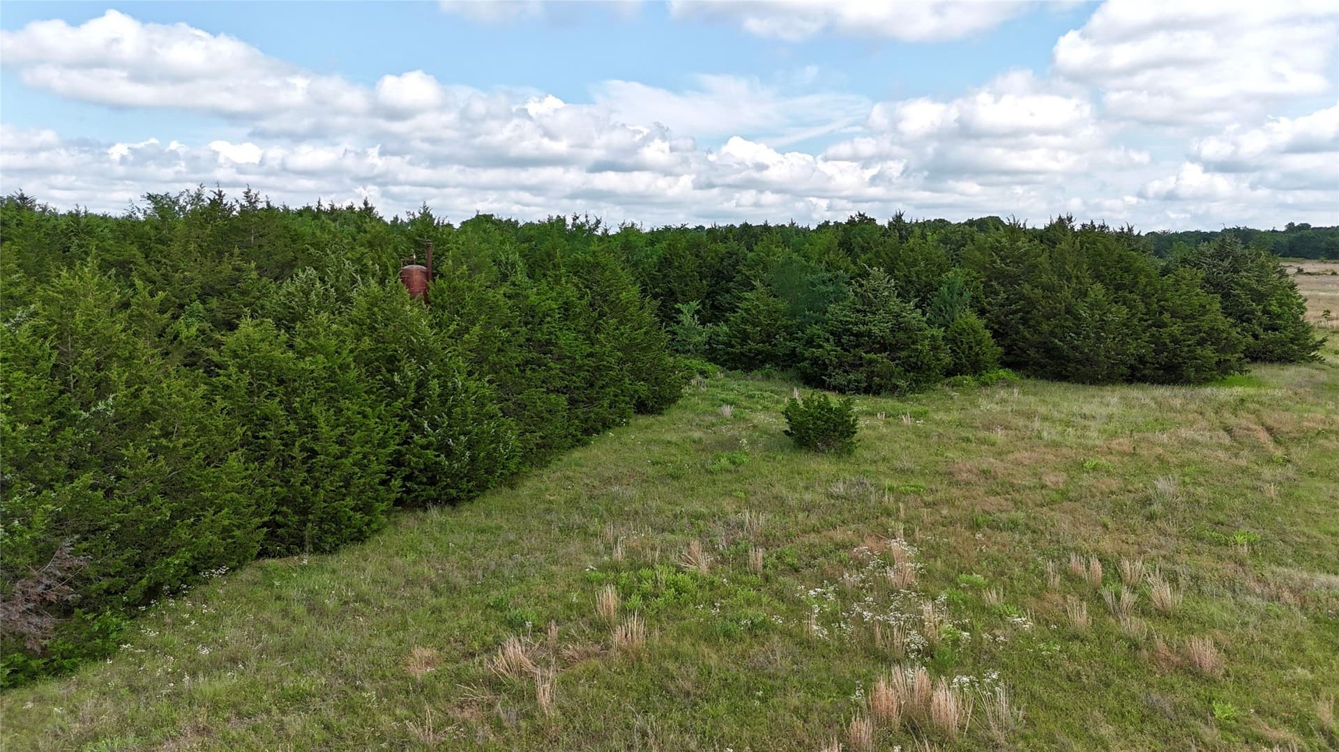 88 acres in Cooke County - photo 13