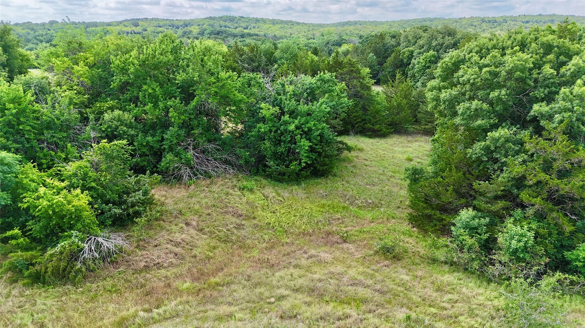 88 acres in Cooke County - photo 7