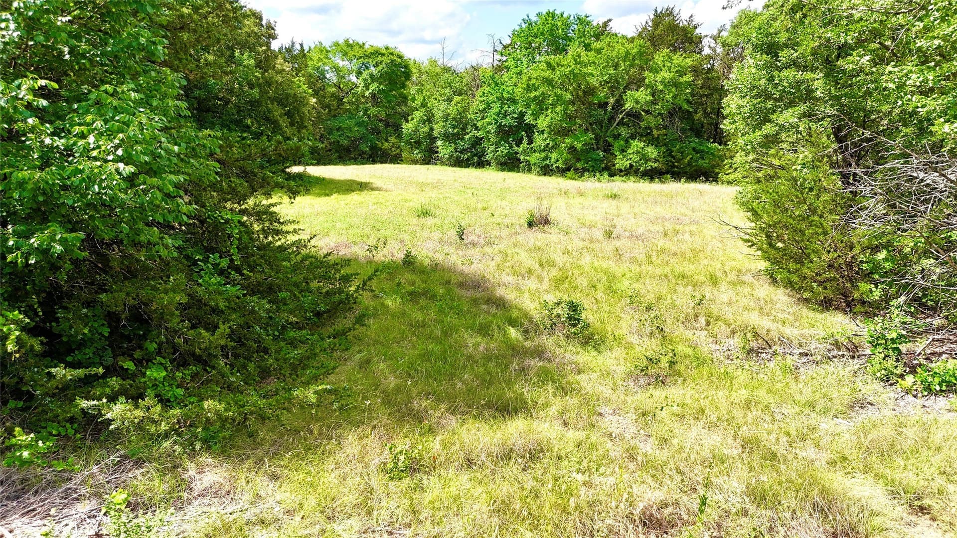 88 acres in Cooke County - photo 4