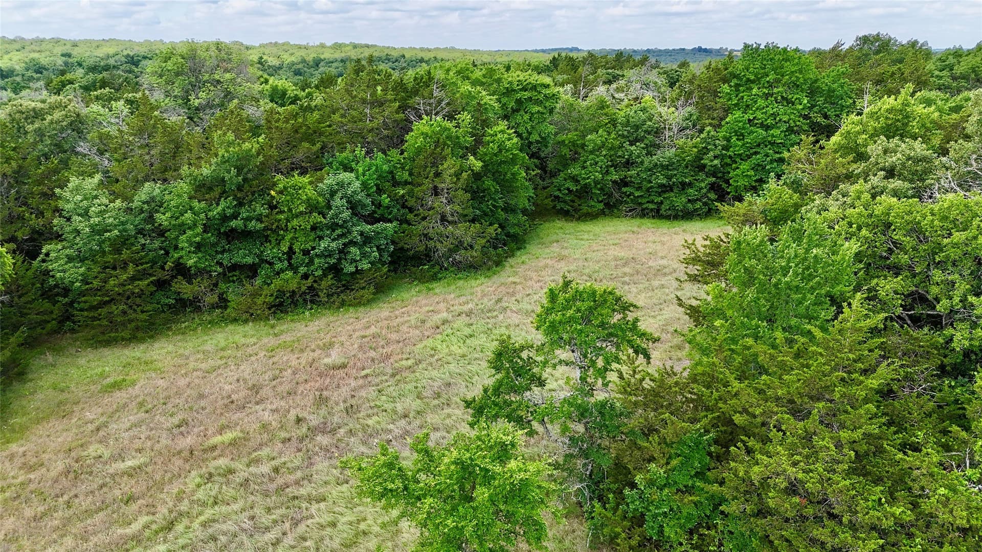 88 acres in Cooke County - photo 6