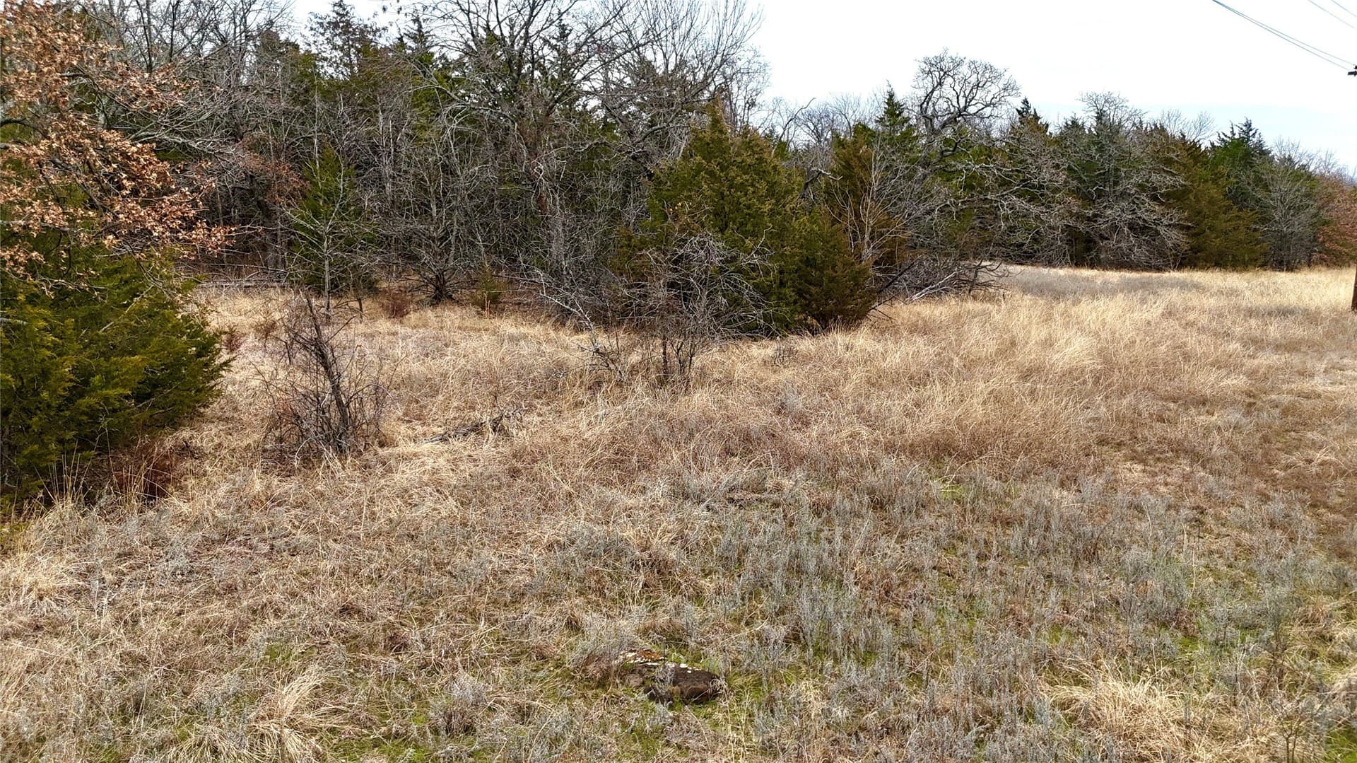 88 acres in Cooke County - photo 38