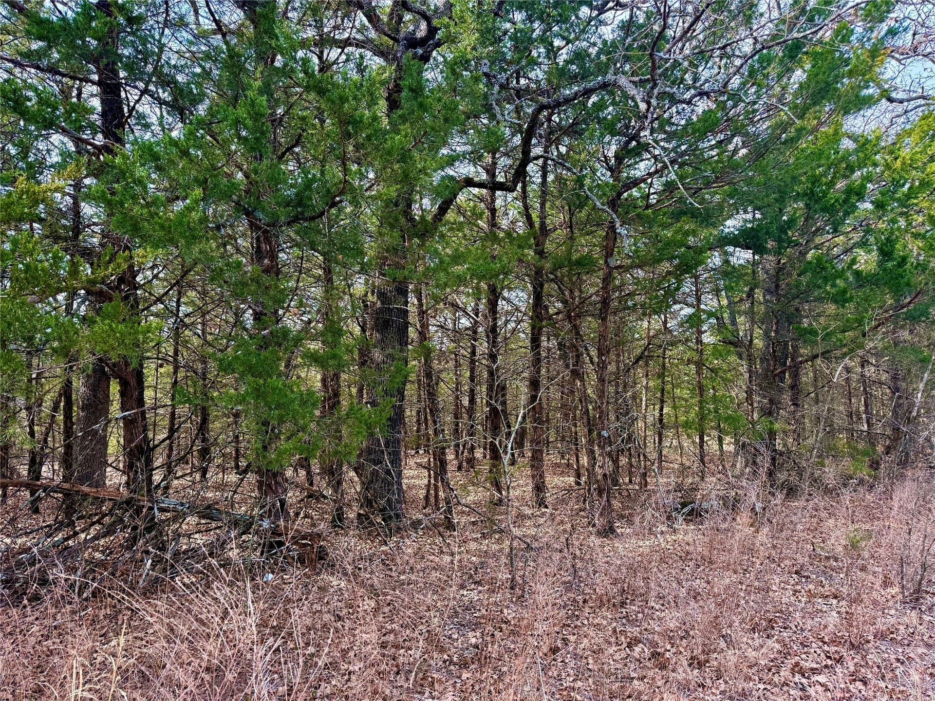 88 acres in Cooke County - photo 24